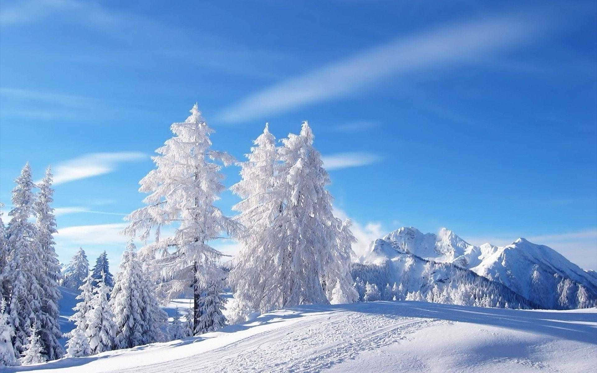 Fondo de Montaña Nevada Invernal Fondos de pantalla