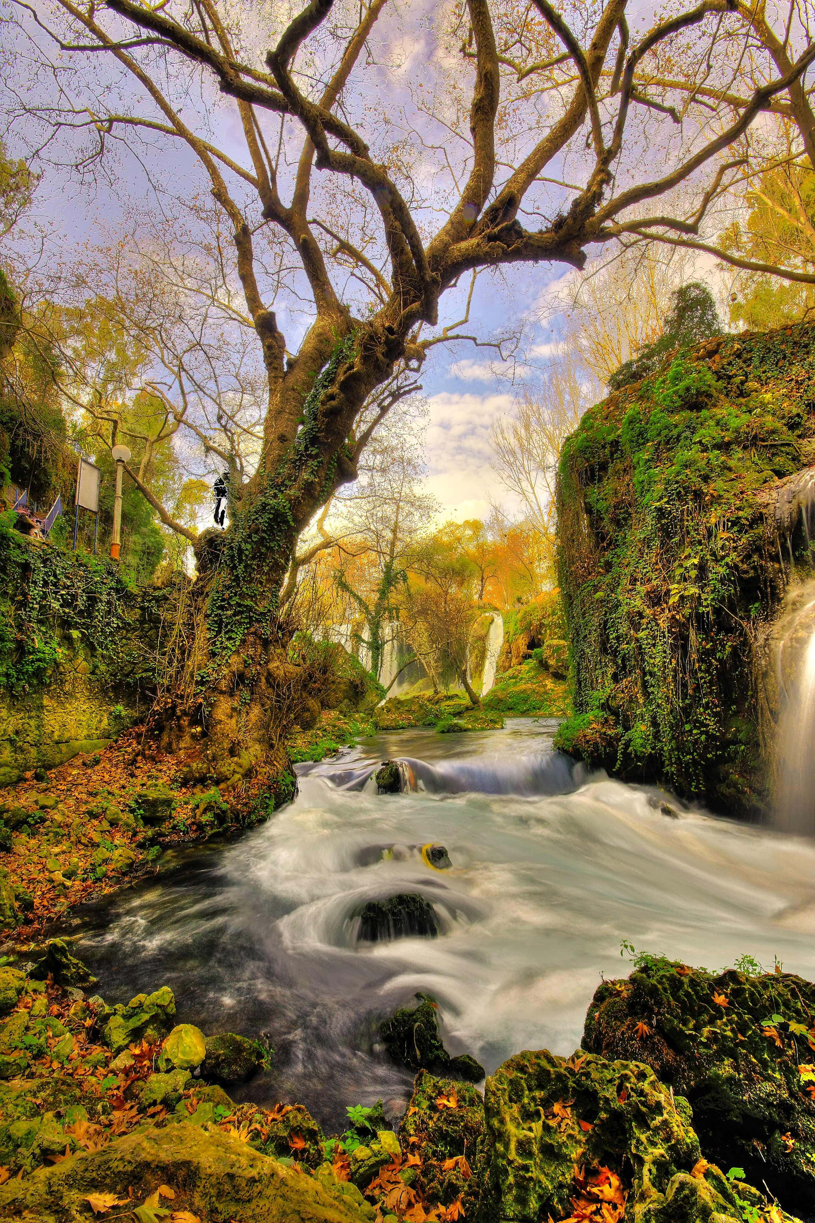 Fondo de naturaleza Fondos de pantalla