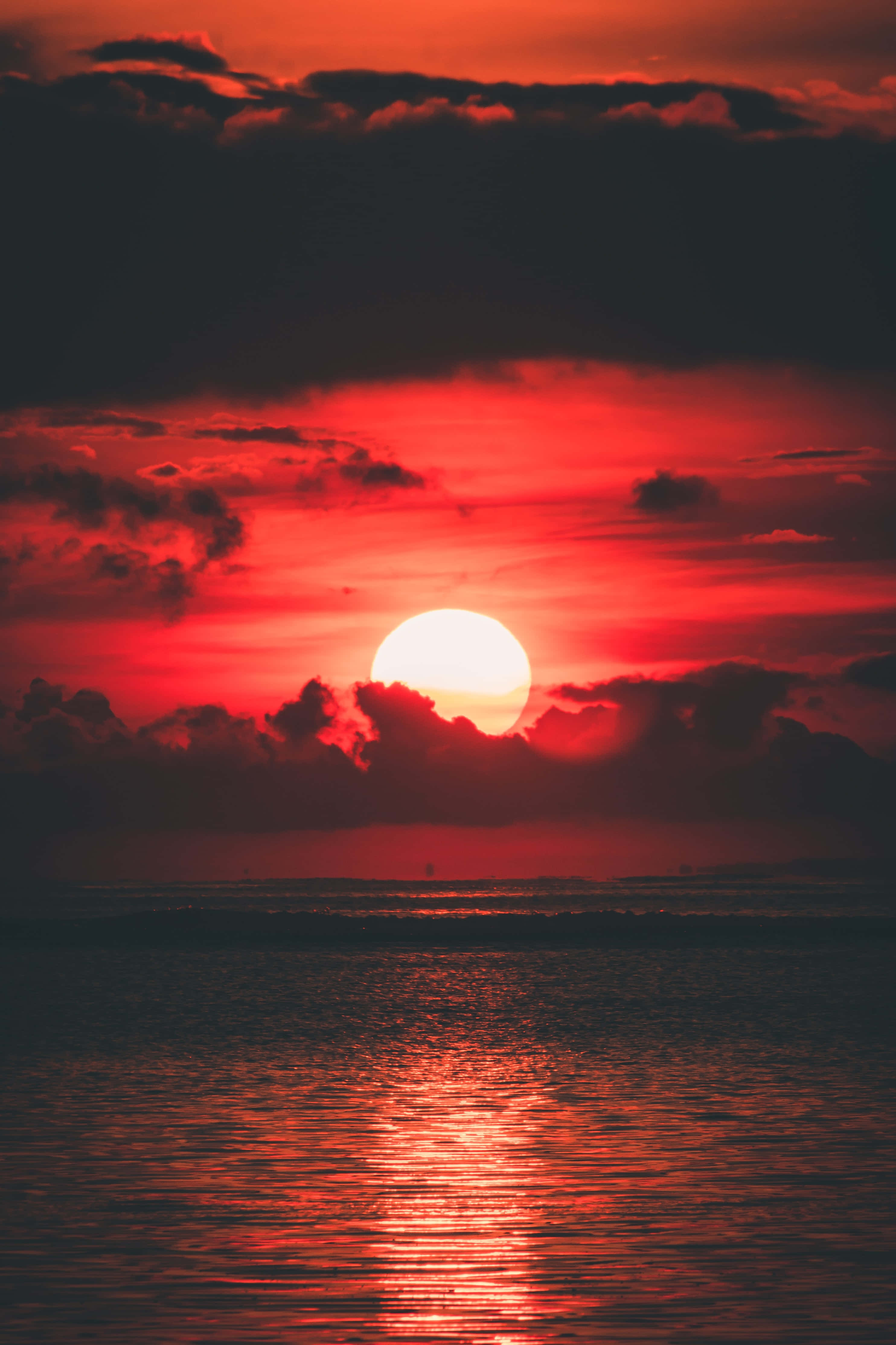 Fondo de naturaleza Fondos de pantalla