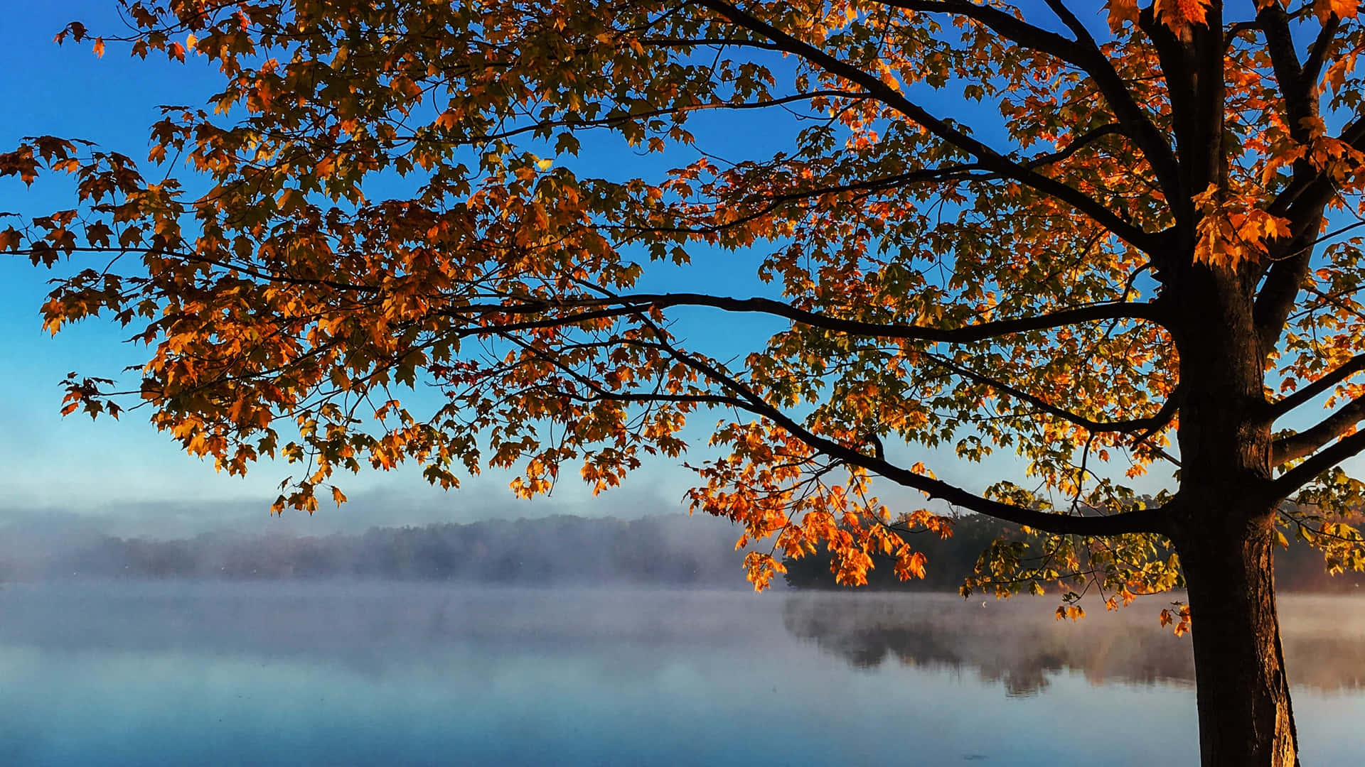 Fondo de otoño 3840 x 2160 Fondos de pantalla