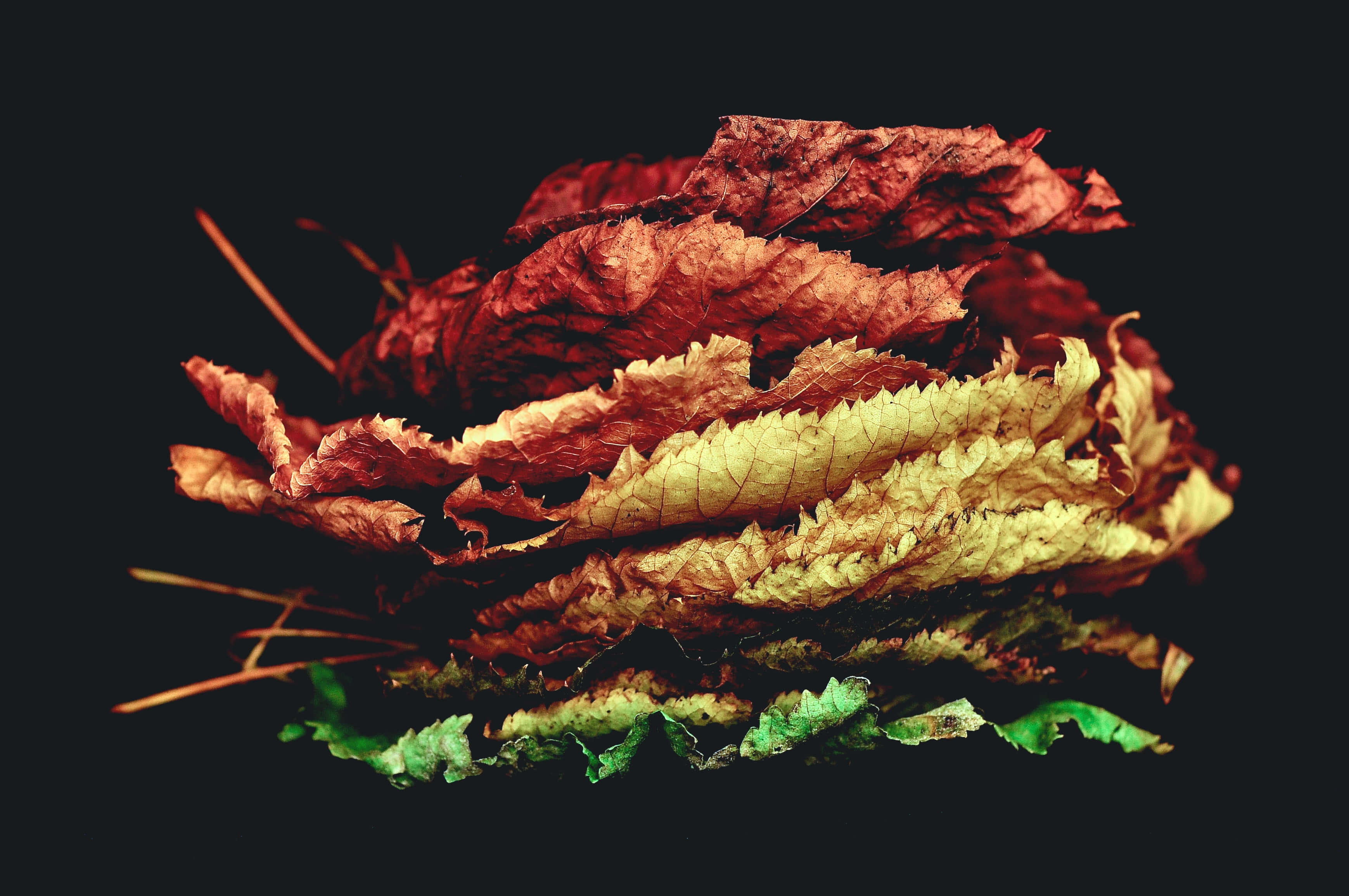Fondo de Otoño Fondos de pantalla