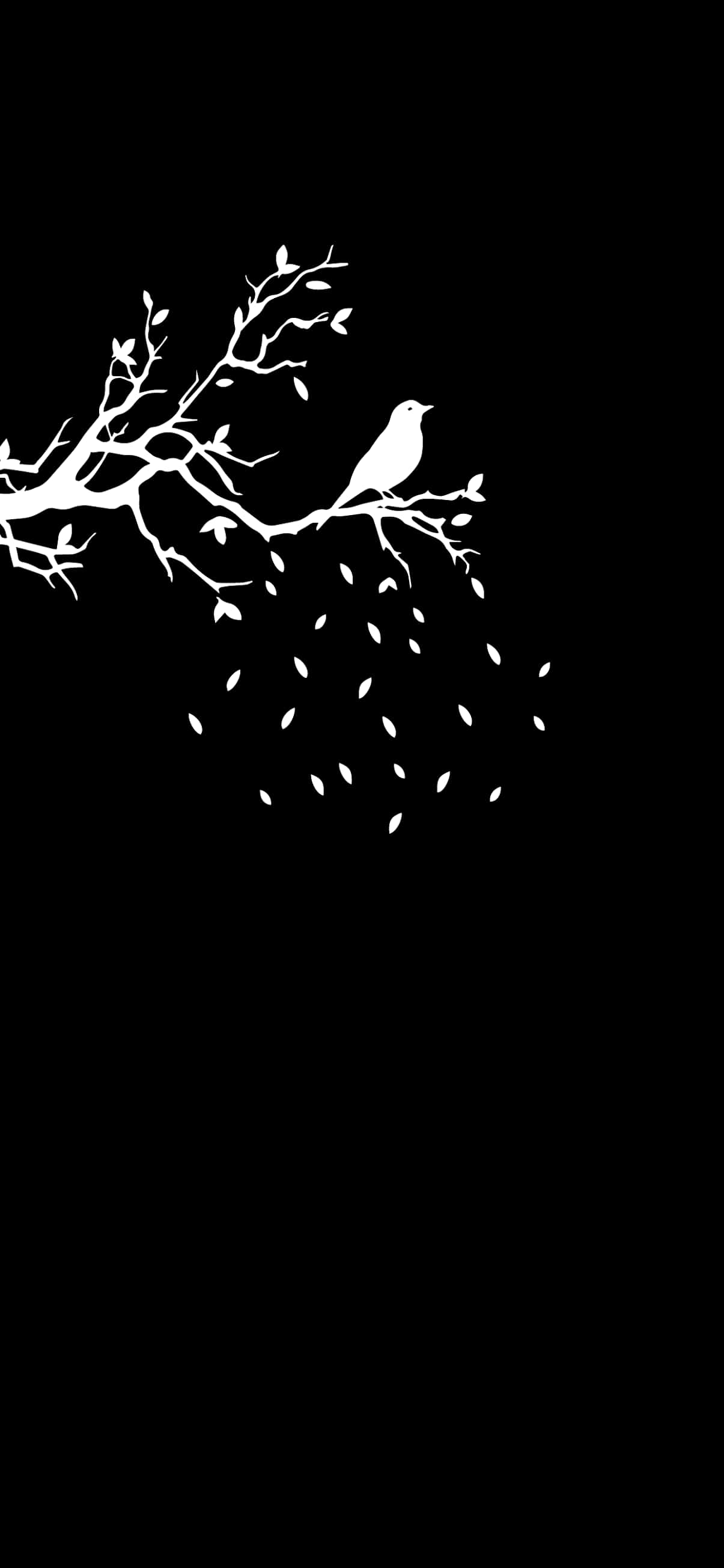 Fondo de Pájaro en Árbol para Pixel 3 OLED Fondos de pantalla