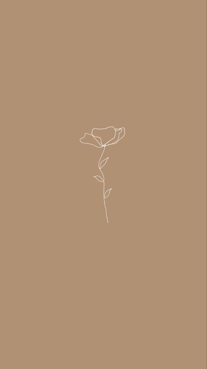 Fondo de pantalla floral beige estético para teléfono Fondos de pantalla