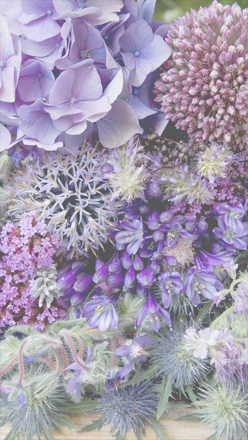 Fondo de pantalla floral lila y púrpura para iPhone Fondos de pantalla