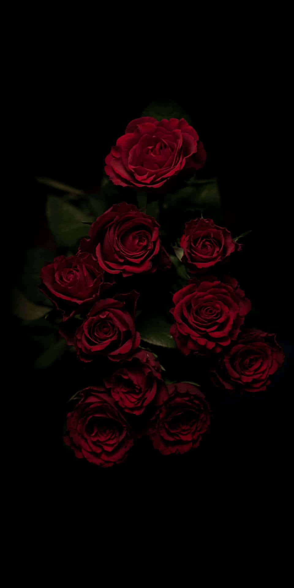Fondo de Pantalla Floral Oscuro Encantador Fondos de pantalla