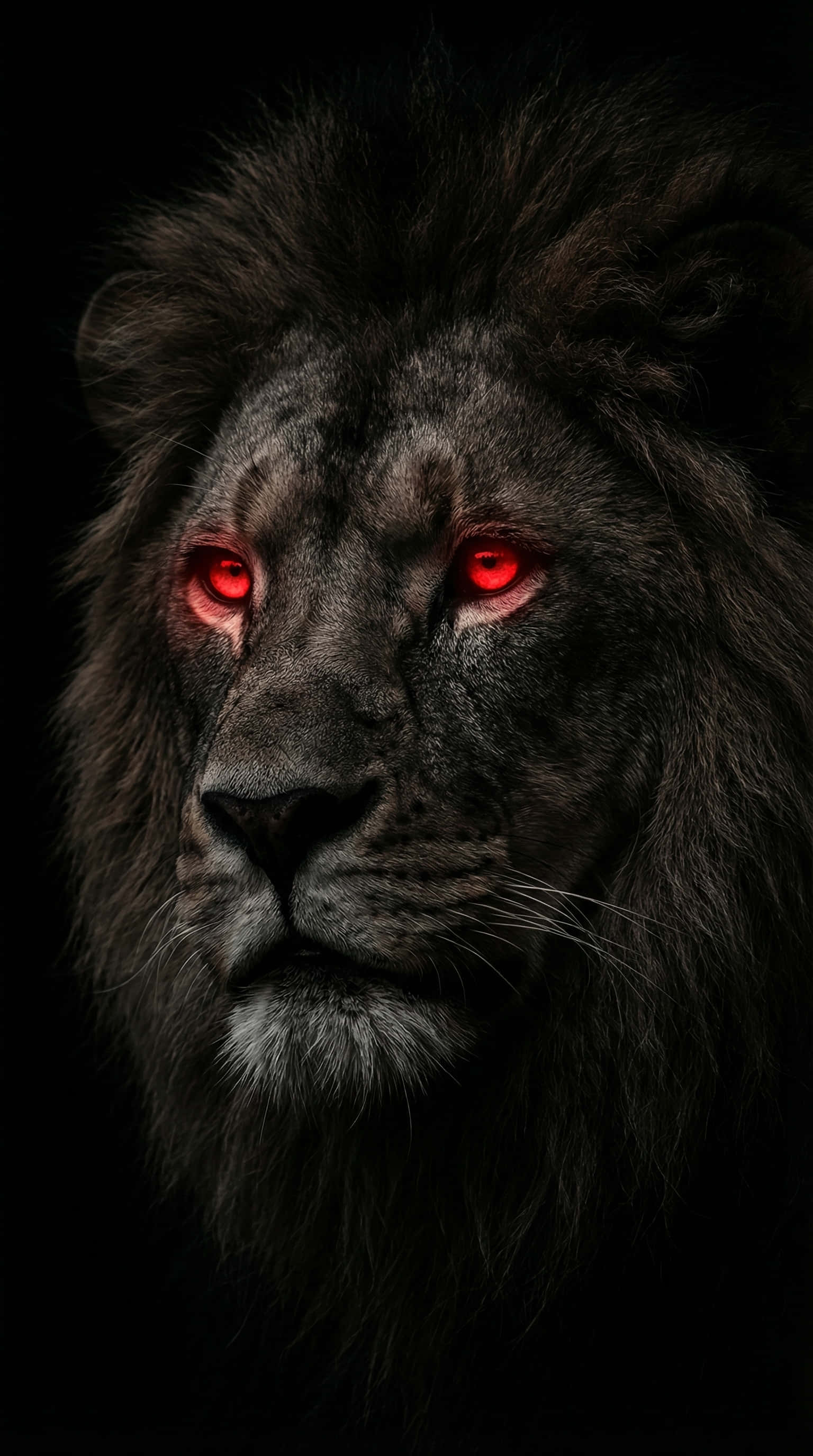 Fondo de Pantalla 4K del Rey León con Ojos Rojos Brillantes Fondos de pantalla