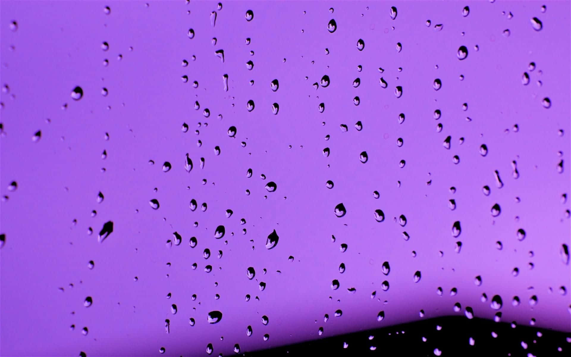 Fondo de Pantalla Gota Púrpura Fondos de pantalla