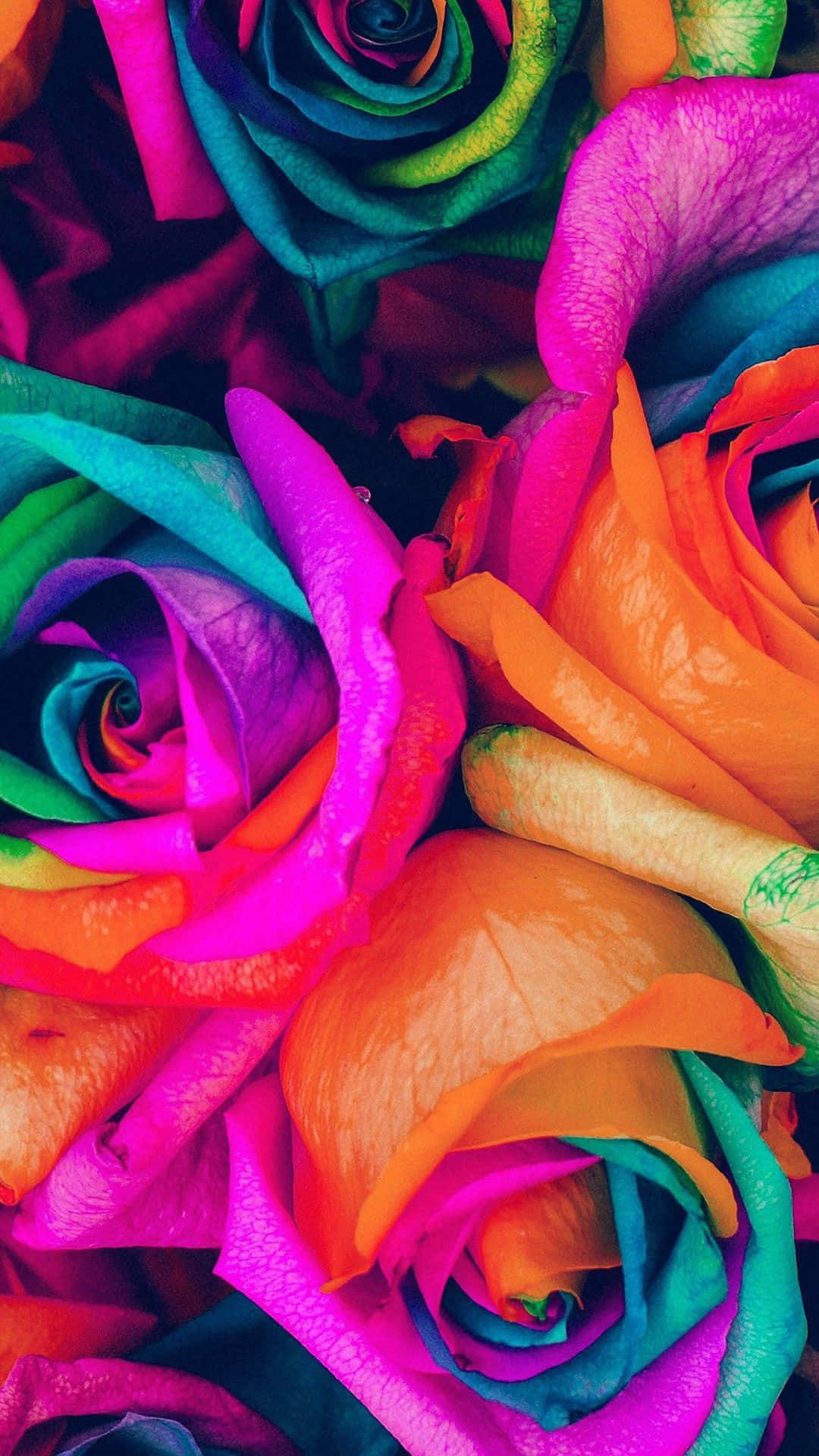 Fondo de Pantalla Cautivador de Flor Arcoíris para iPhone Fondos de pantalla