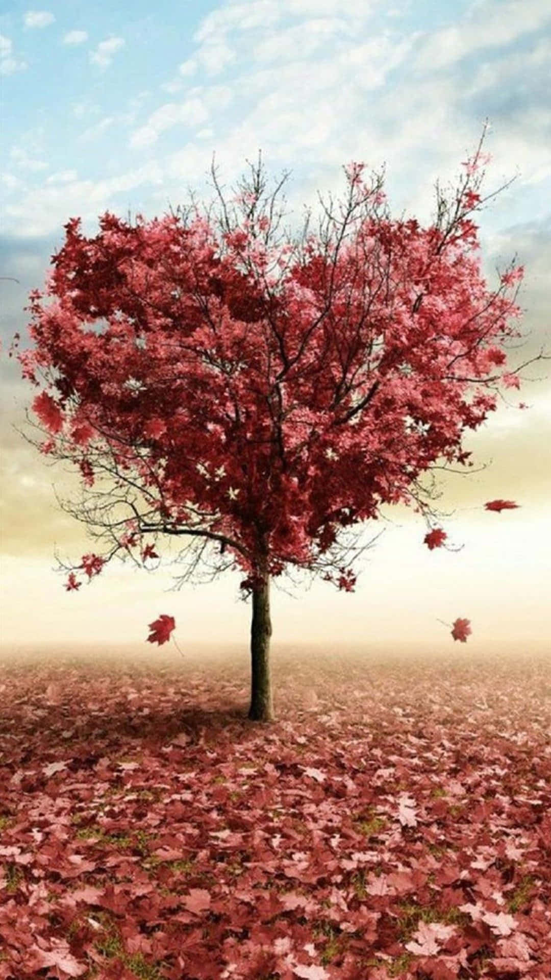 Fondo de Pantalla de Otoño con Árbol en Forma de Corazón Fondos de pantalla