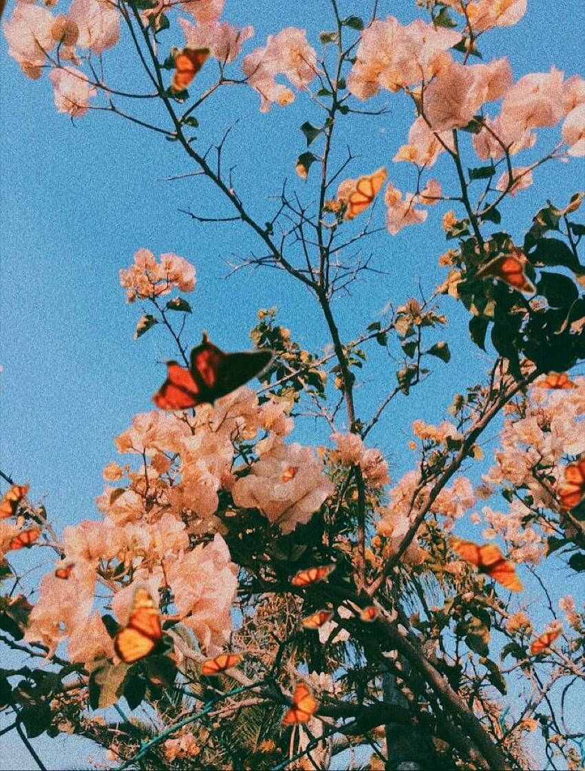 Fondo de pantalla estético de primavera para computadora Fondos de pantalla