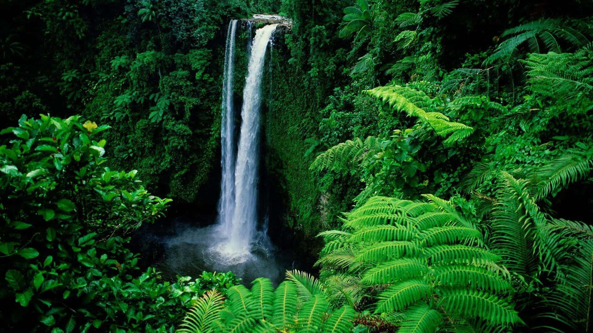 Fondo de pantalla verde Sopoaga Waterfall para escritorio Fondos de pantalla