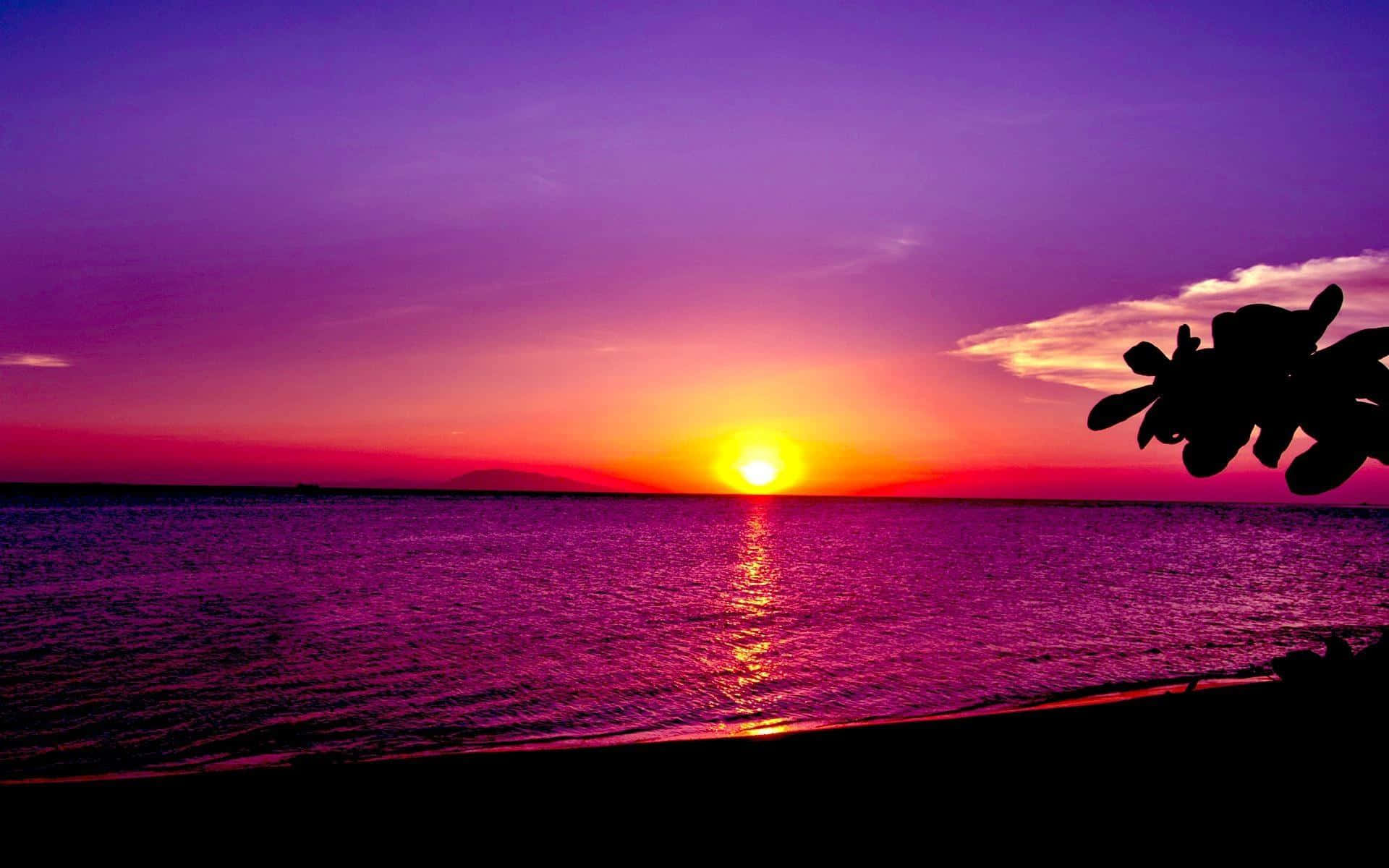 fondo de pantalla atardecer púrpura Fondos de pantalla