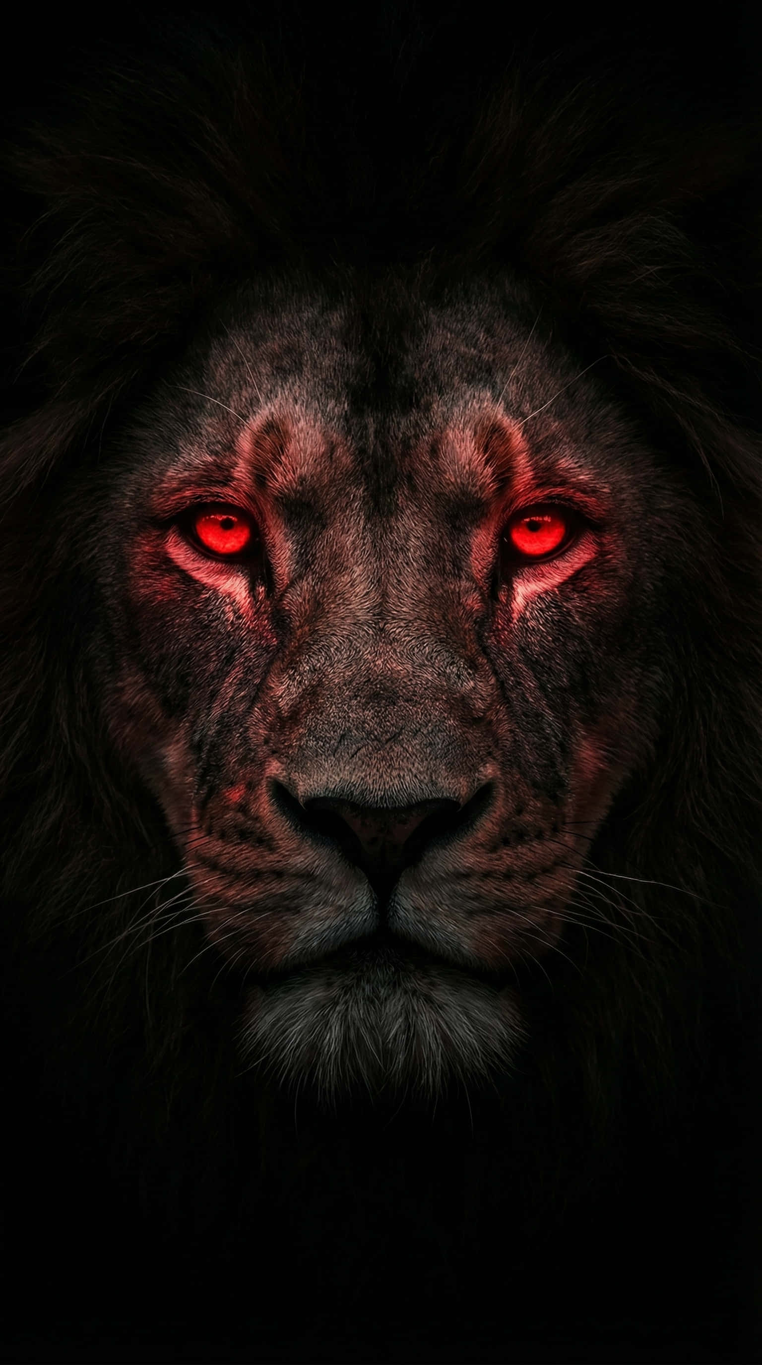 Fondo de Pantalla 4K del Rey León con Ojos Rojos Brillantes Fondos de pantalla