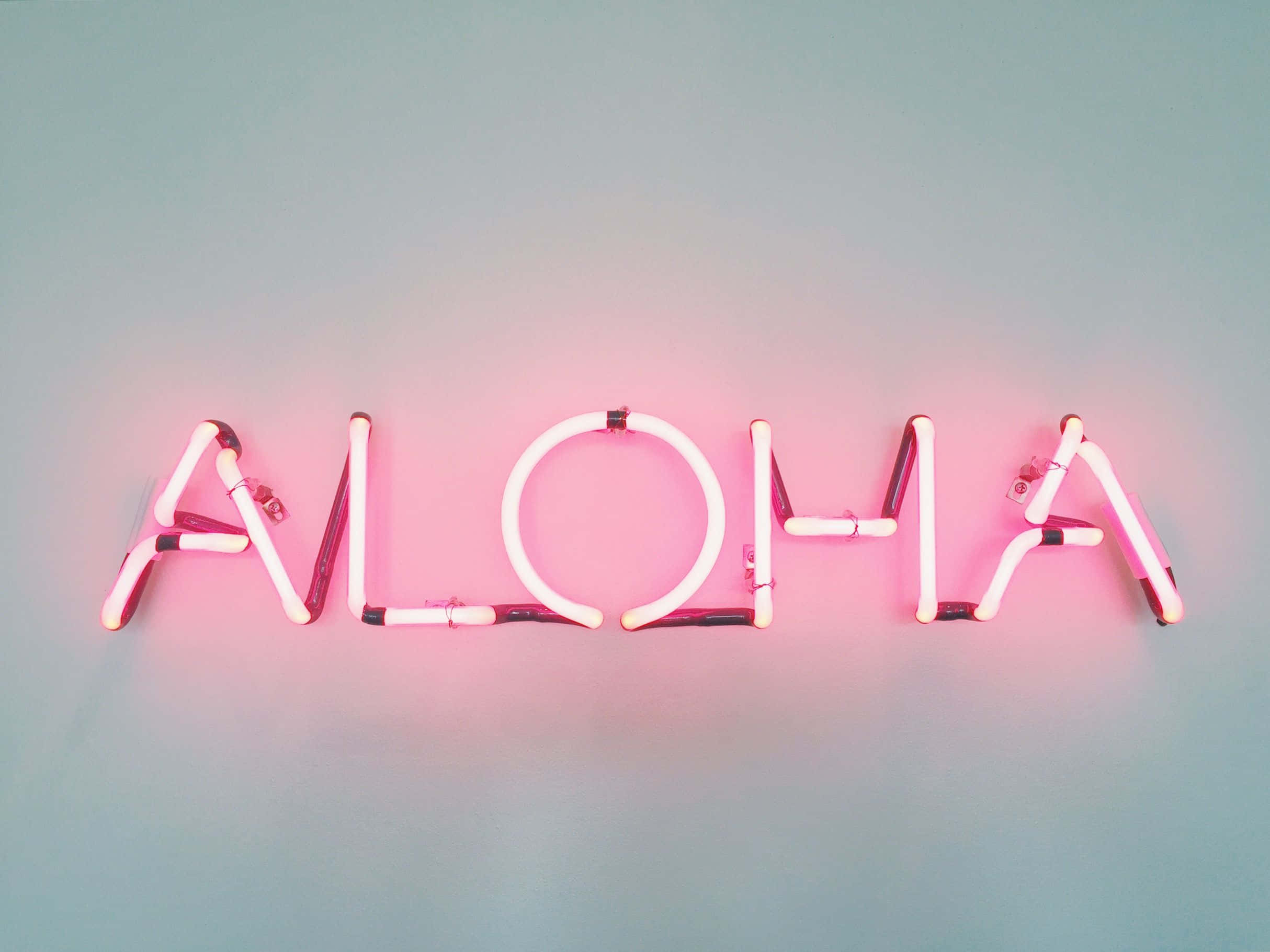 Fondo de pantalla estéticamente agradable con fondo rosa Fondos de pantalla