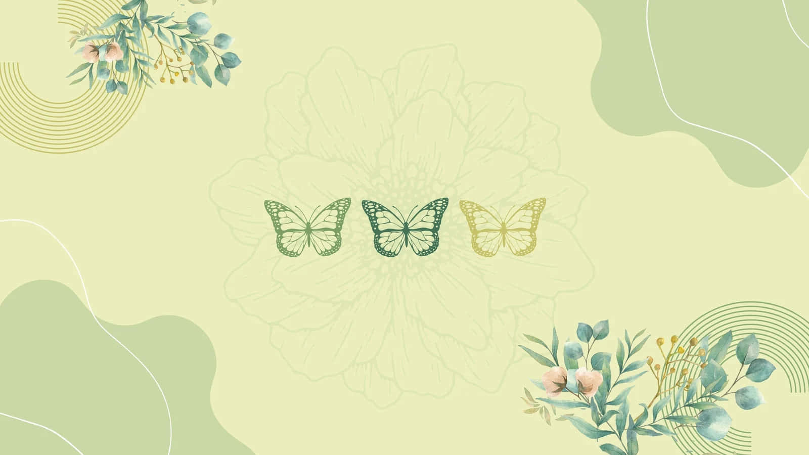 Fondo de Pantalla para Laptop Verde Salvia con Mariposas Monarca Fondos de pantalla