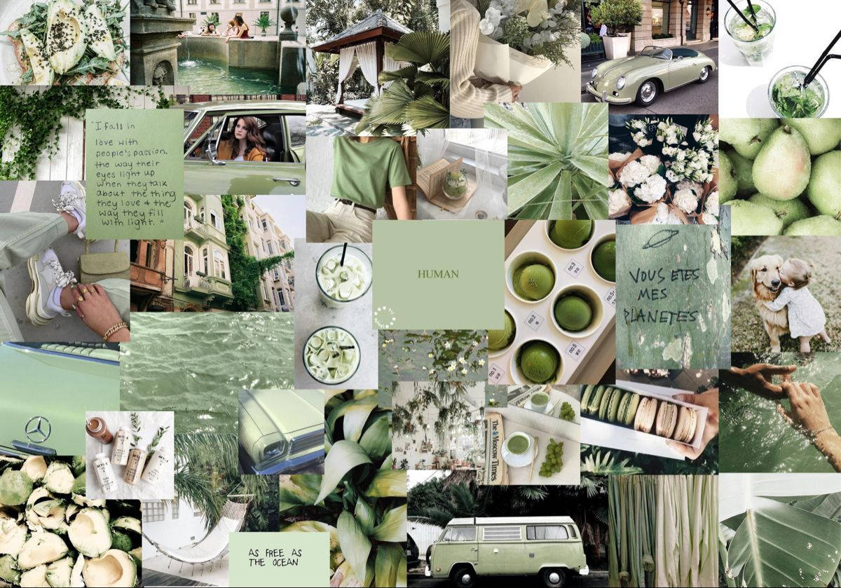 Fondo de pantalla collage estético verde matcha para laptop Fondos de pantalla