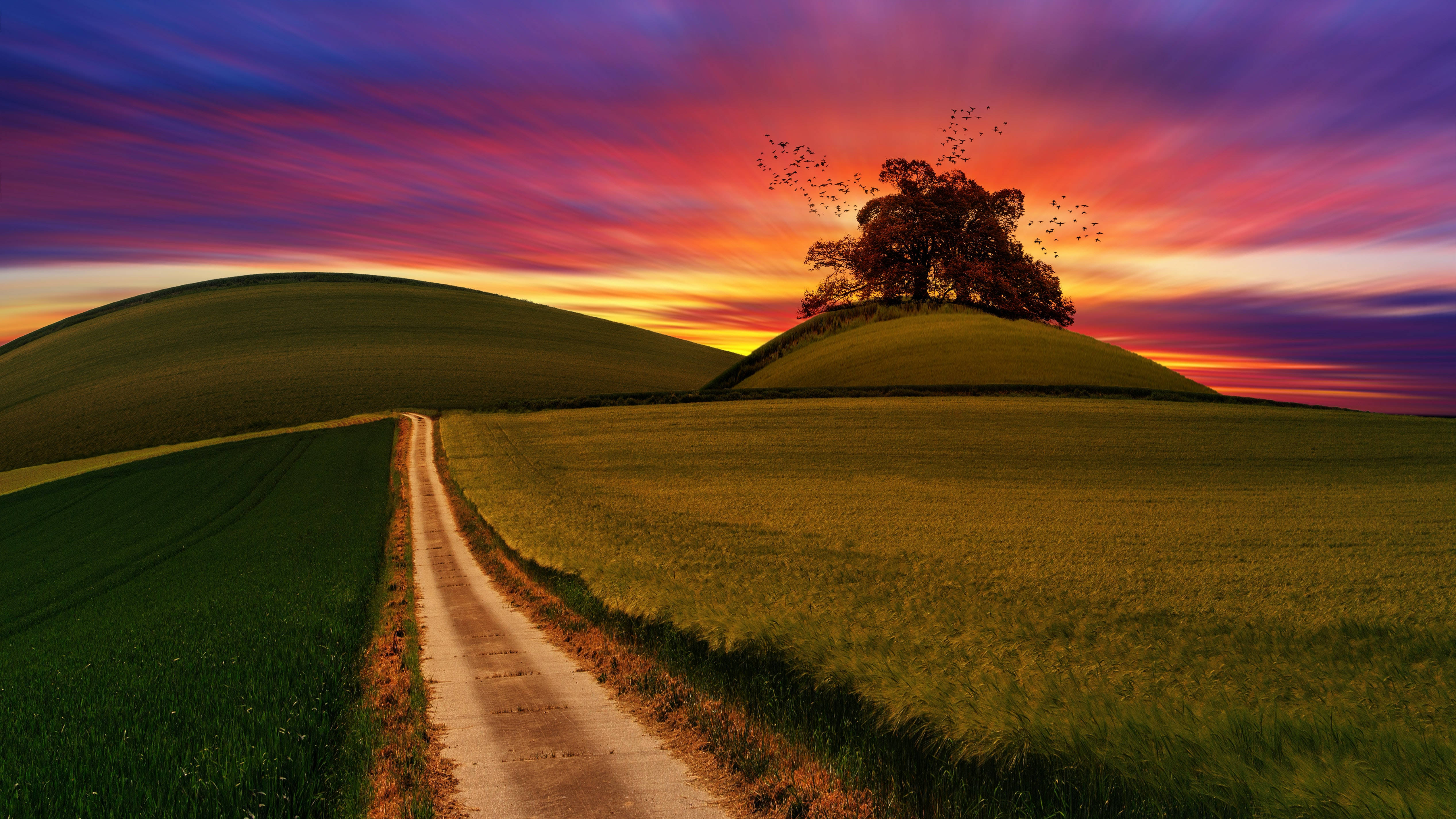 Fondo de pantalla de computadora Colina al atardecer Fondos de pantalla