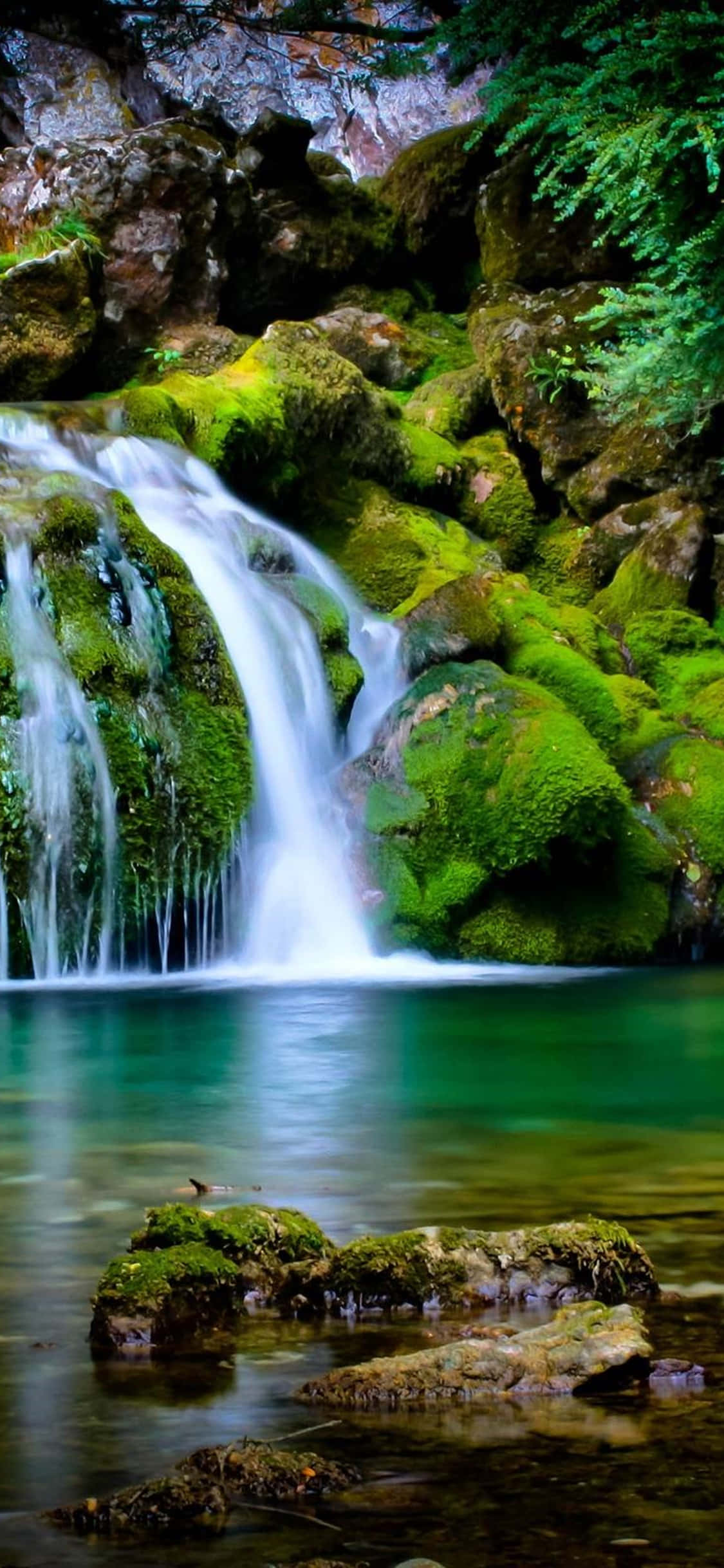 Fondo de pantalla de escritorio con cascada para iPhone XS Fondos de pantalla