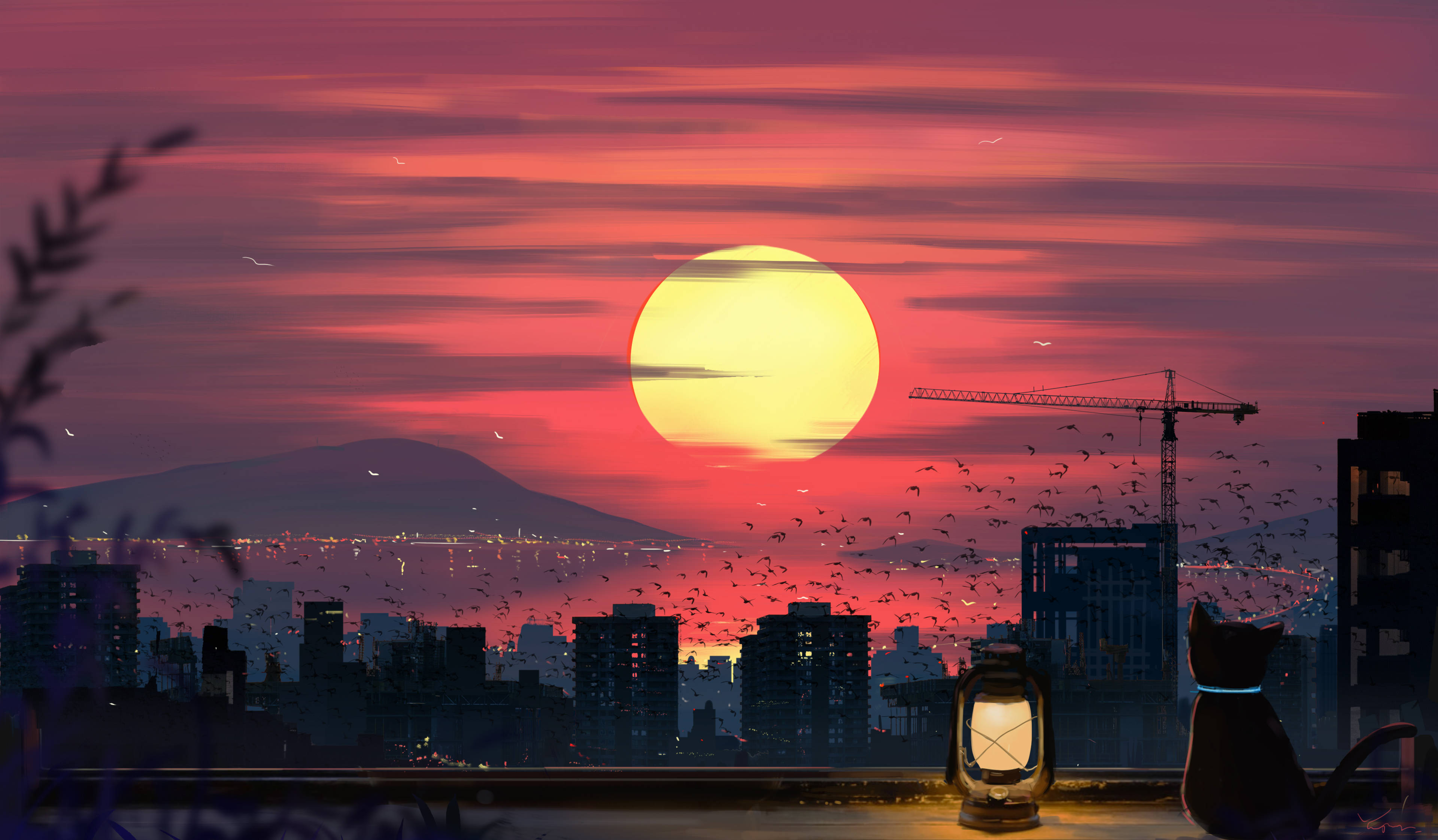 Fondo de pantalla de gato y atardecer para computadora Fondos de pantalla