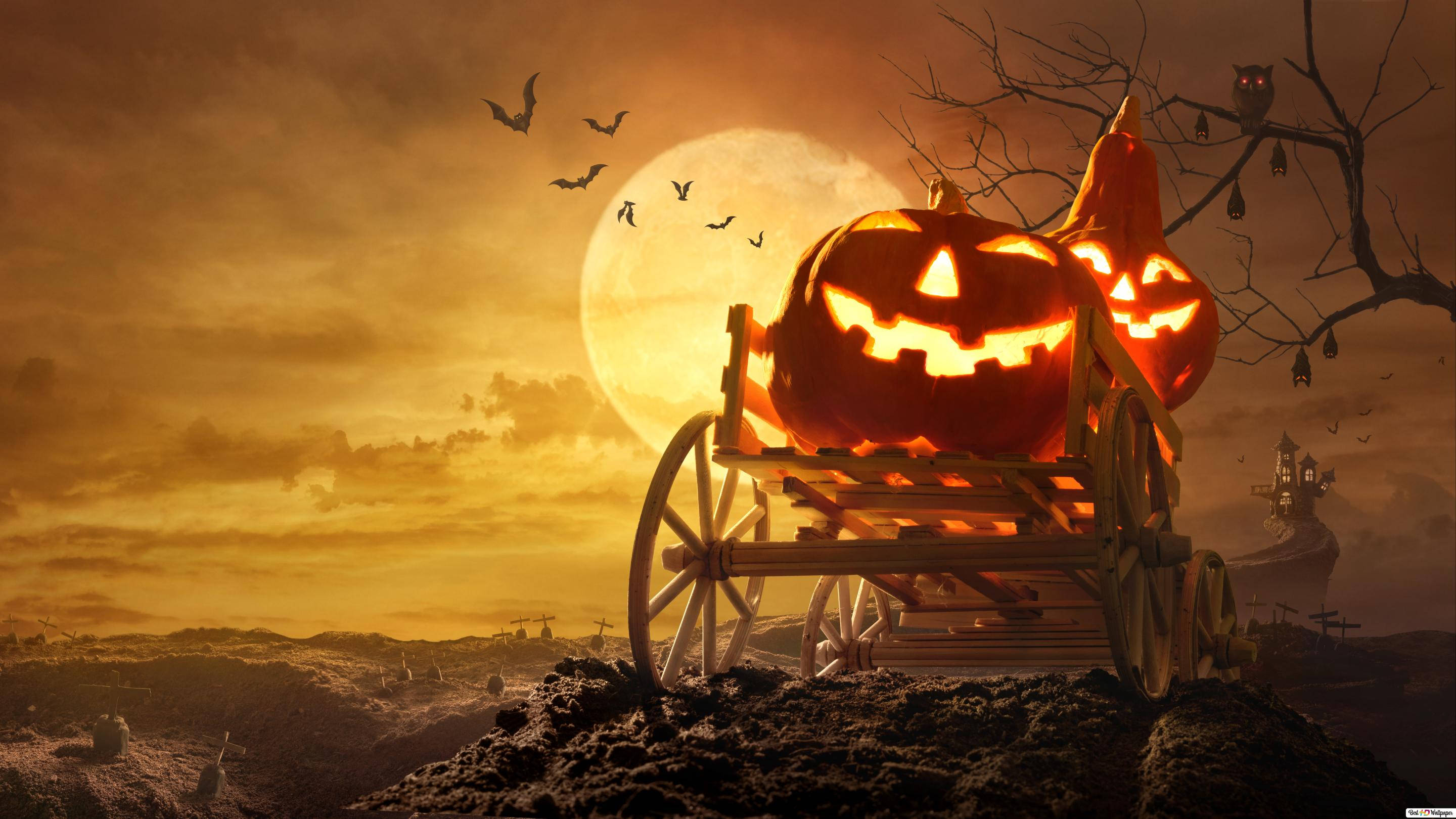 Fondo de Pantalla de Halloween con Calabaza y Luna Llena para iPhone Fondos de pantalla