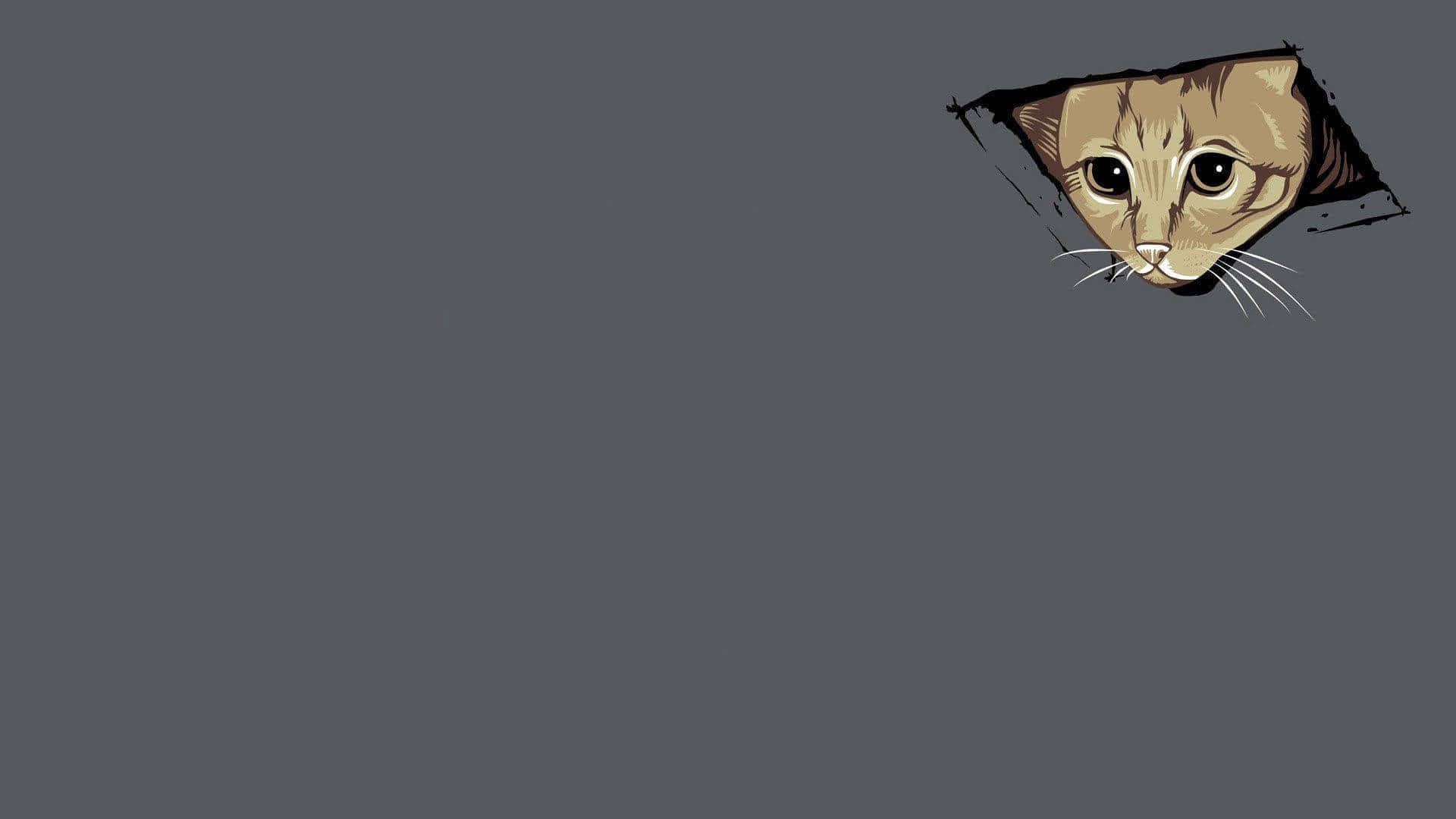 Fondo de pantalla de laptop con meme de gato mirando Fondos de pantalla
