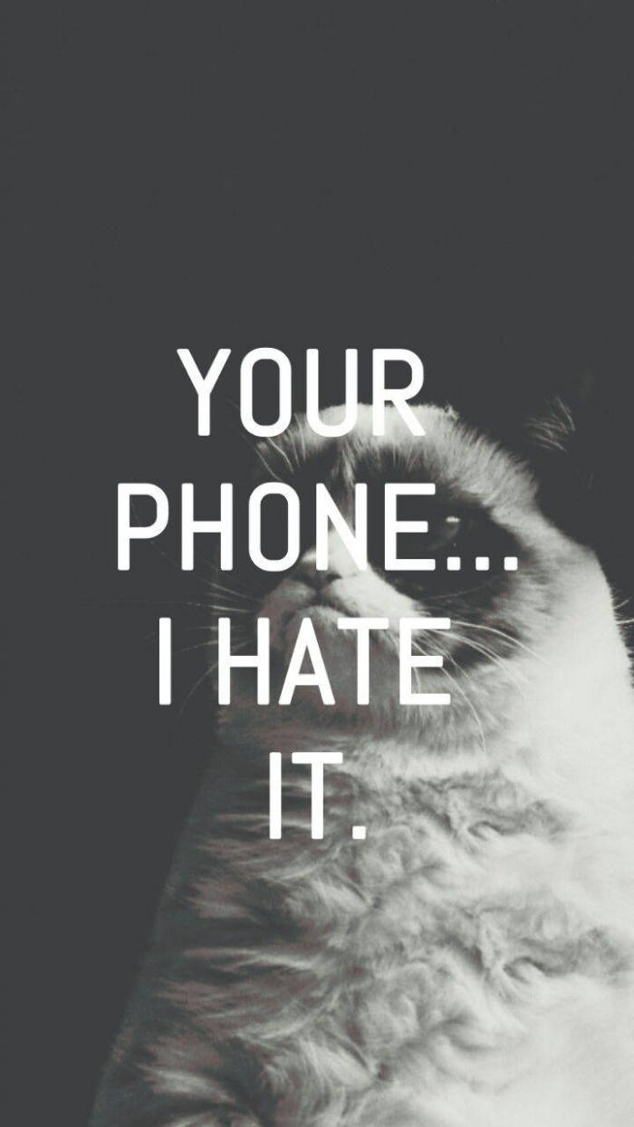 Fondo de pantalla divertido de Gato Gruñón para teléfono Fondos de pantalla