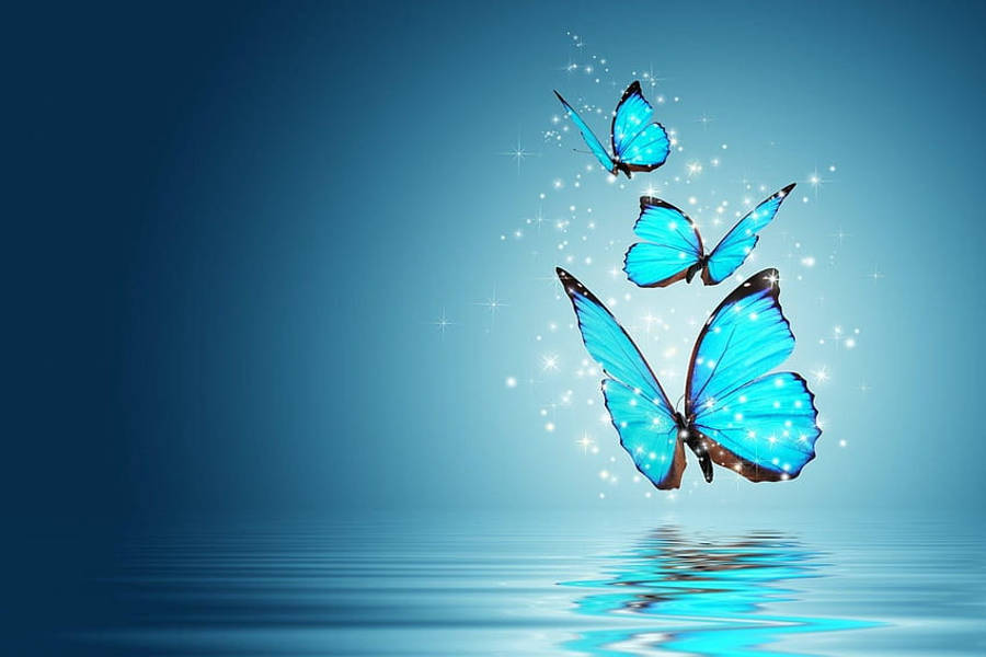 Fondo de Pantalla HD de Mariposas Azules para Pantalla Completa de Escritorio Fondos de pantalla