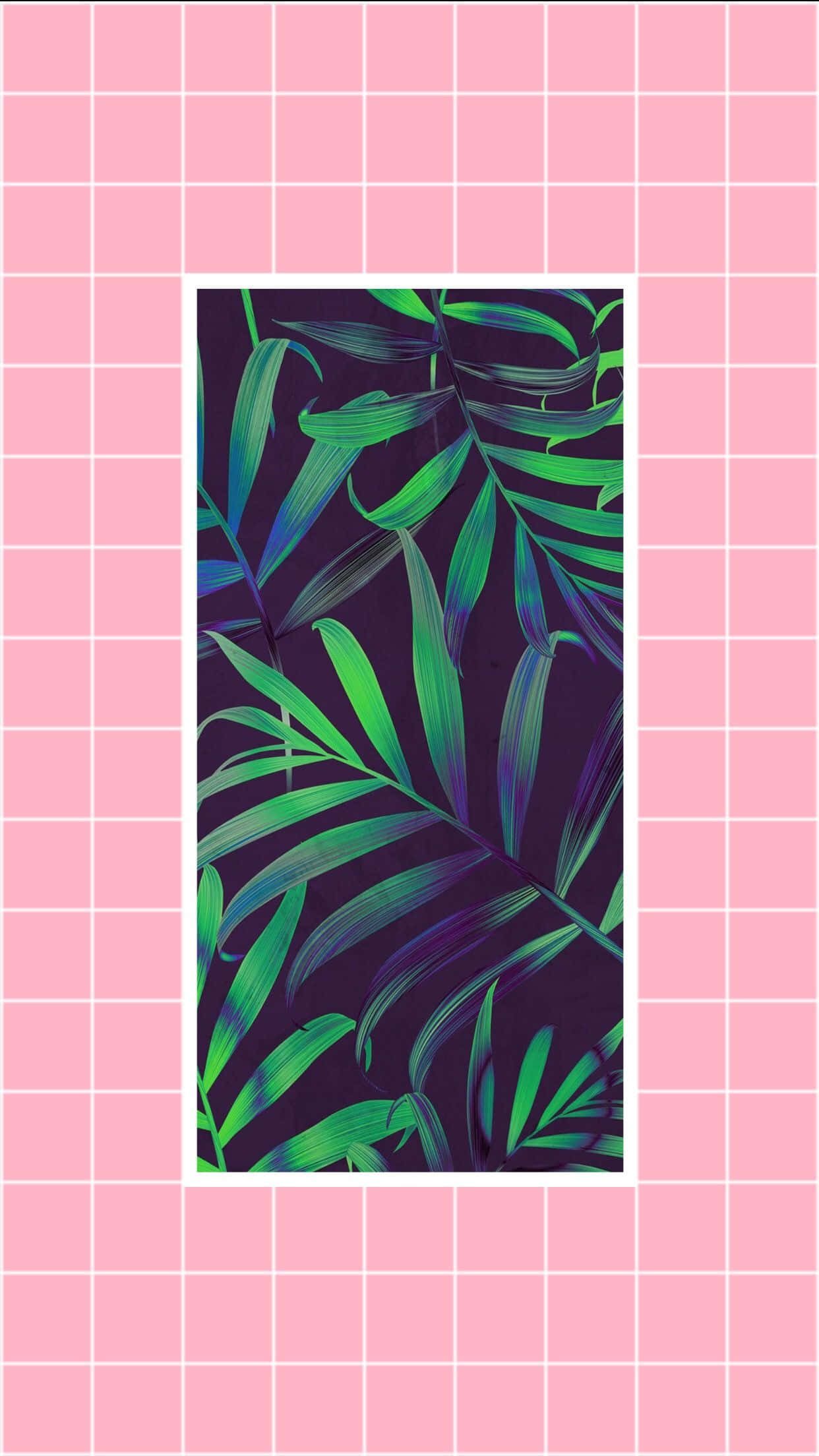 Fondo de pantalla primaveral estético para celular Fondos de pantalla