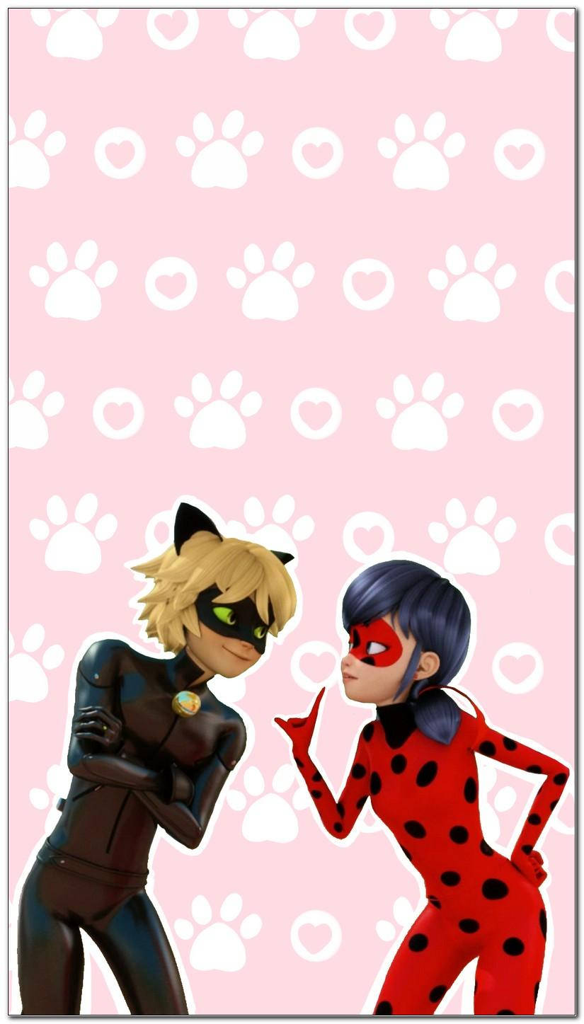 Fondo de pantalla rosa de Ladybug y Cat Noir para teléfono Fondos de pantalla