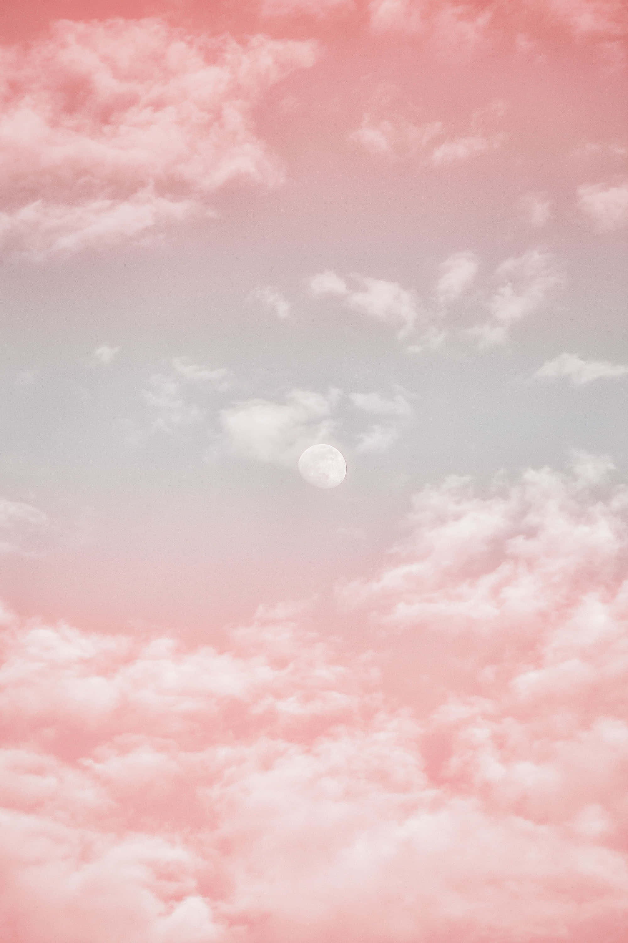 Fondo de pantalla rosa estético para añadir un toque de ensueño a cualquier interior Fondos de pantalla