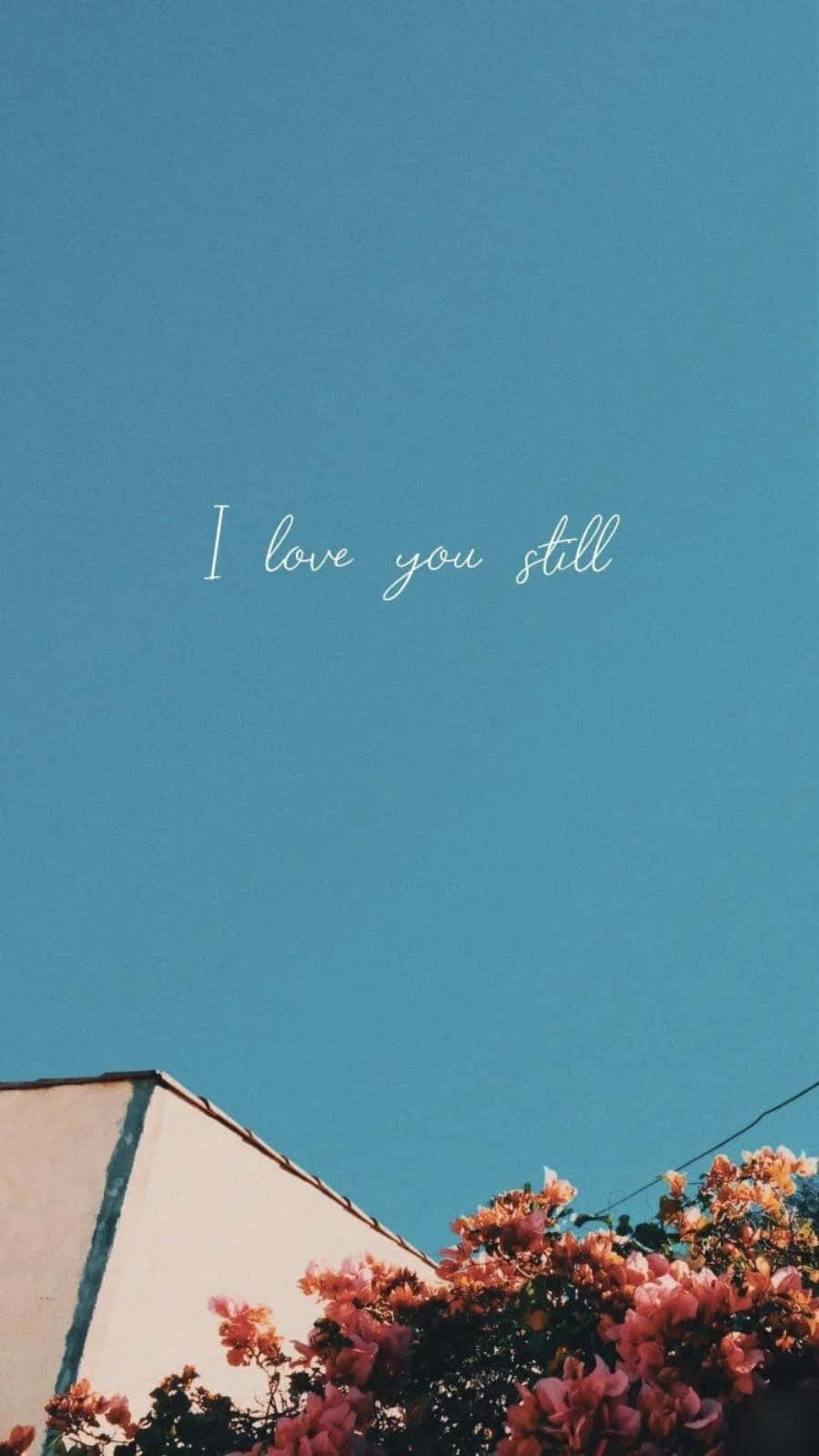 fondo de pantalla todavía te amo Fondos de pantalla