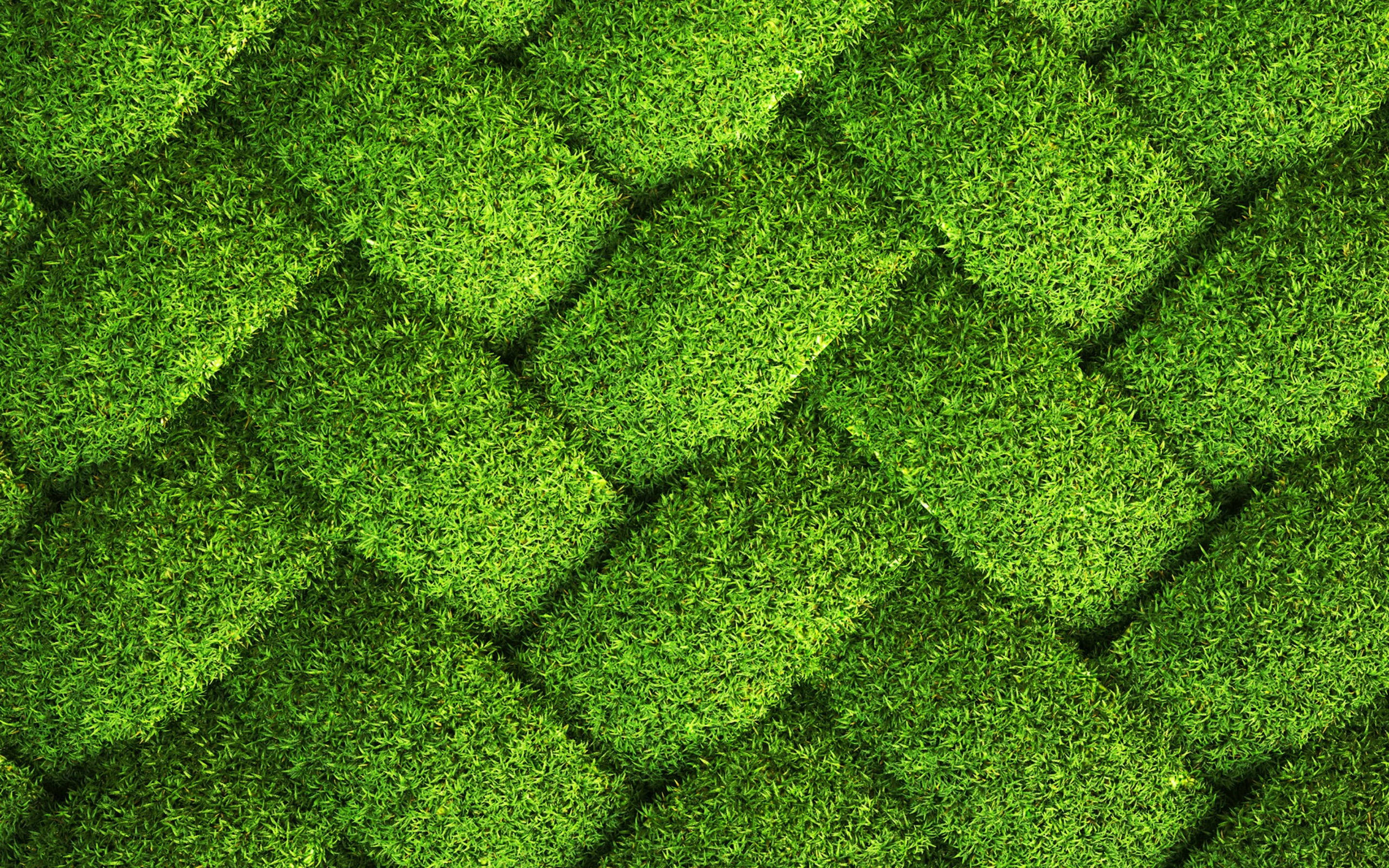 Fondo de Pasto Entrelazado Fondos de pantalla