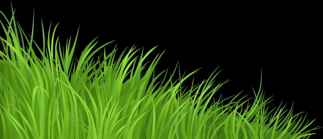 Fondo de Pasto Verde Vibrante Fondos de pantalla