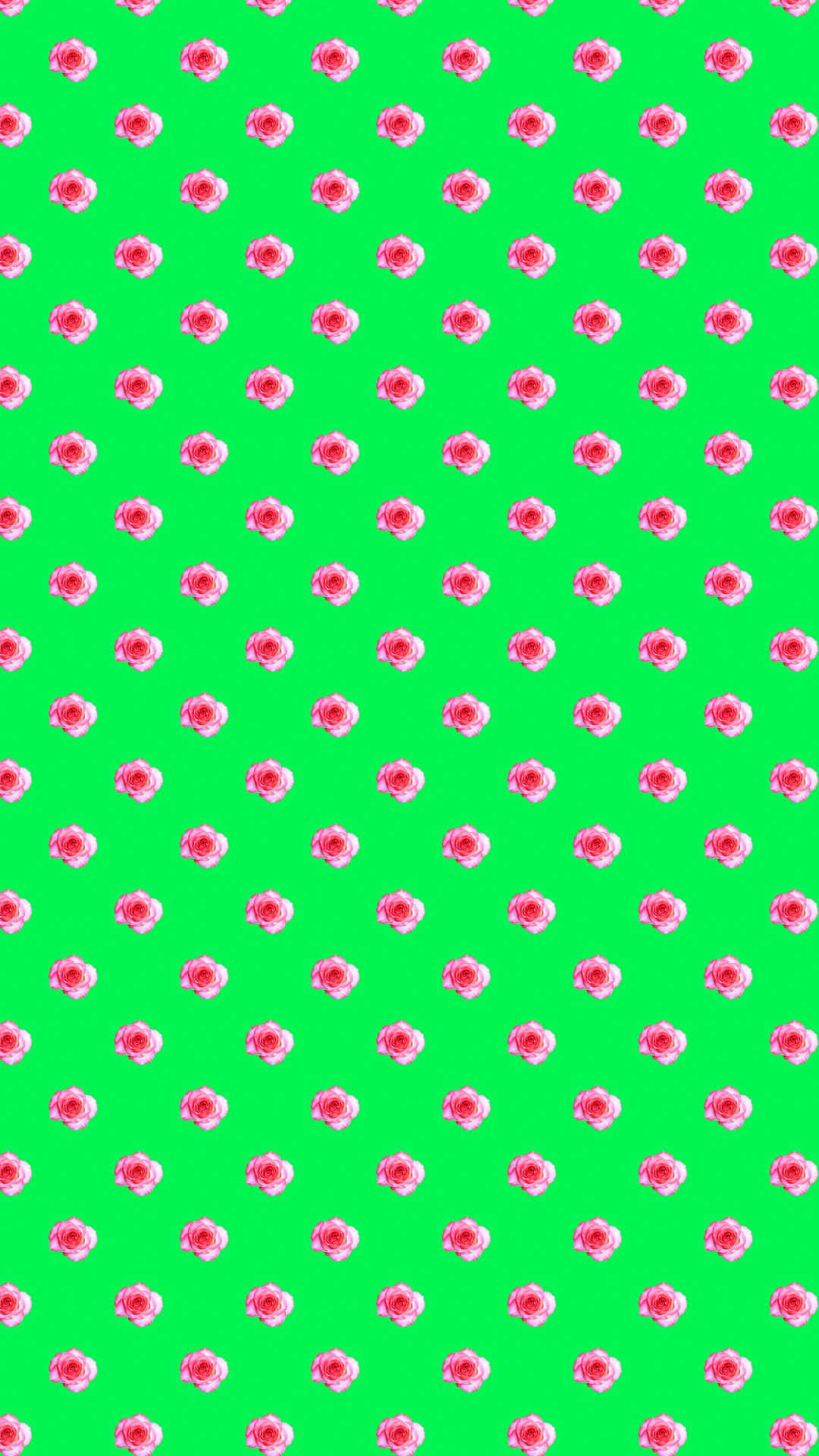 Fondo de patrón estético VSCO de flores de cerezo Fondos de pantalla