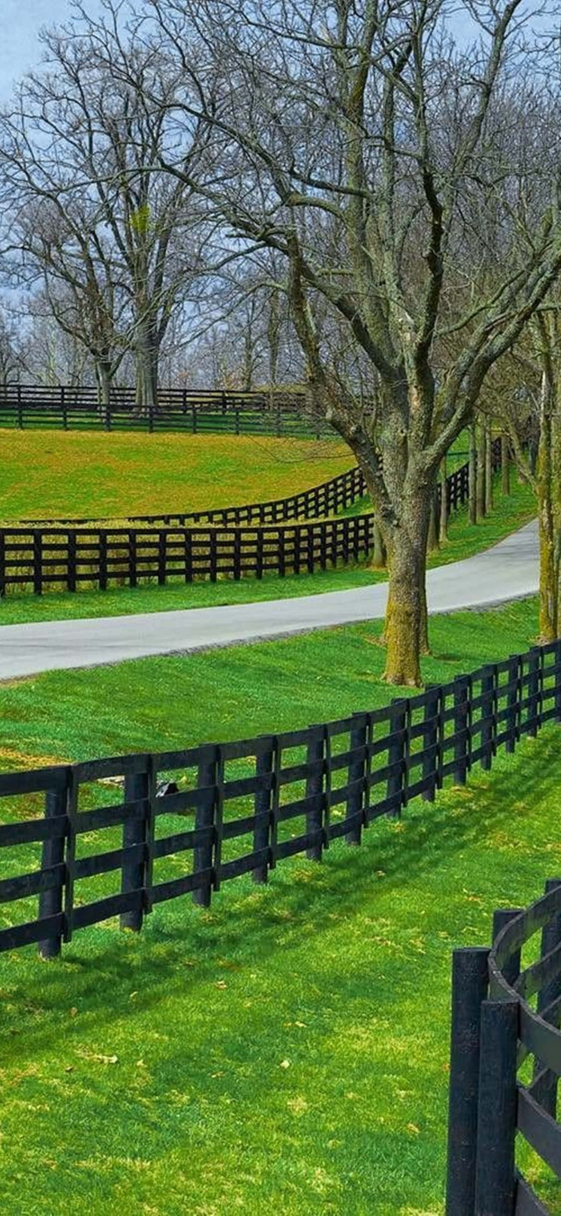 Fondo de PC de Escritorio iPhone XS de Cerca de Granja Fondos de pantalla
