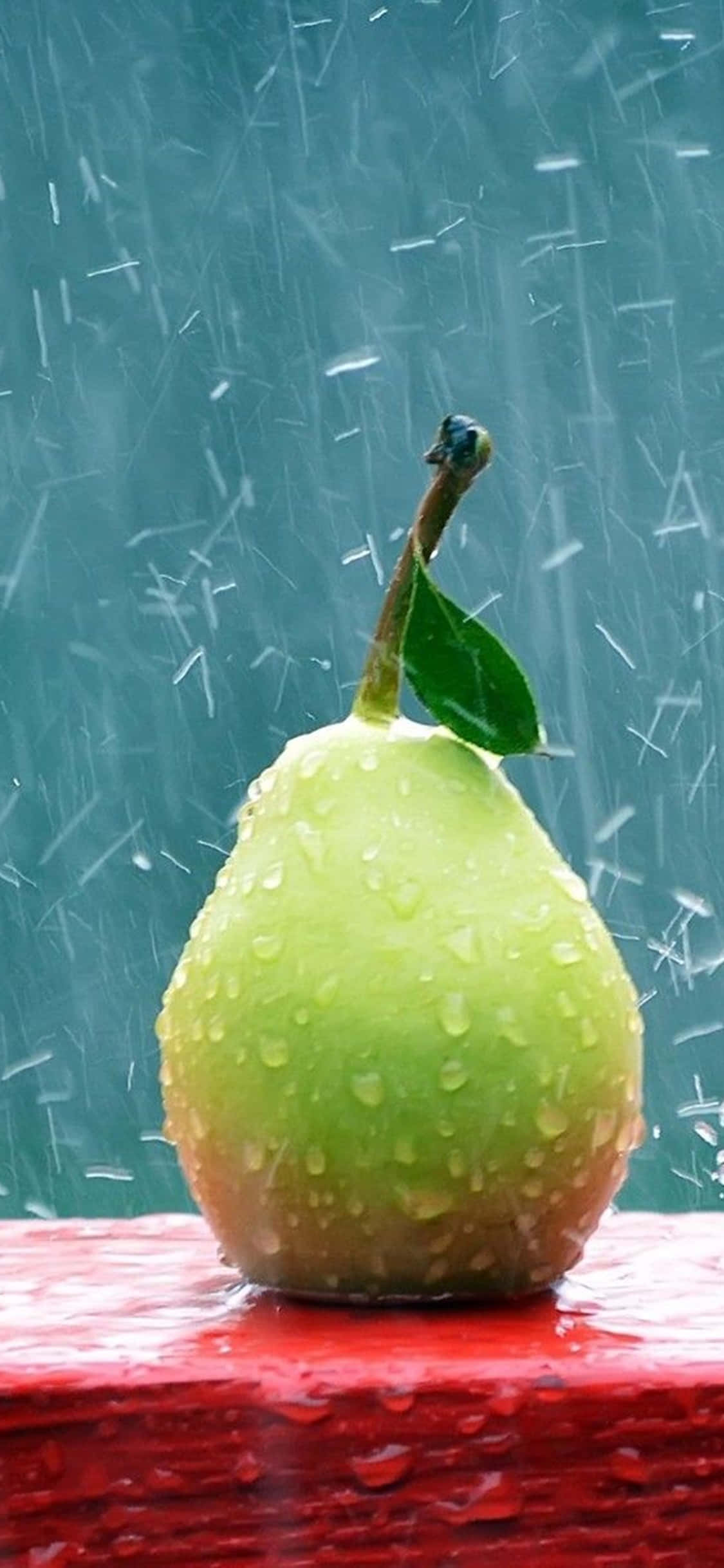 Fondo de Pera bajo la Lluvia para iPhone Xs en PC de Escritorio Fondos de pantalla