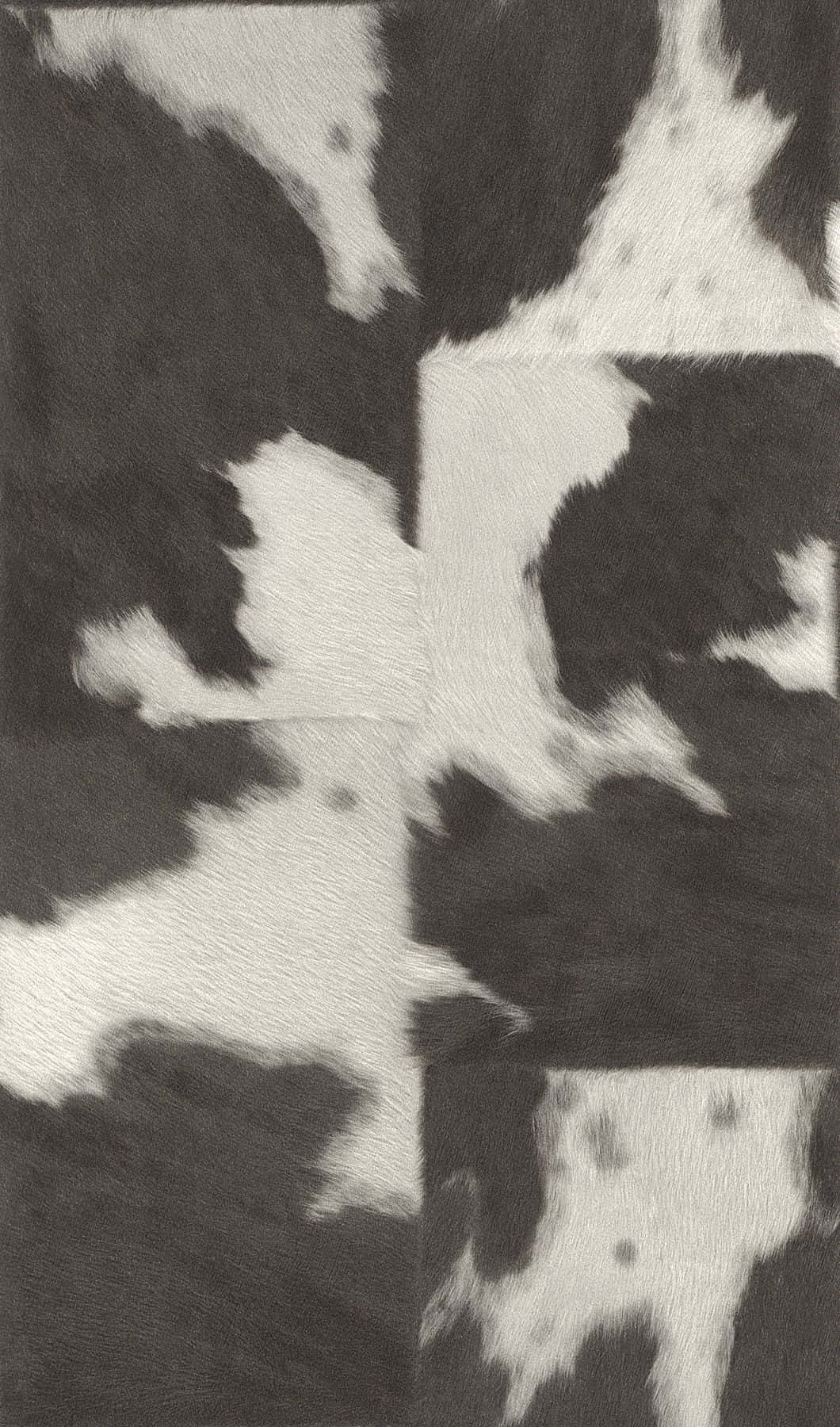 Fondo de piel de vaca gris y blanca Fondos de pantalla