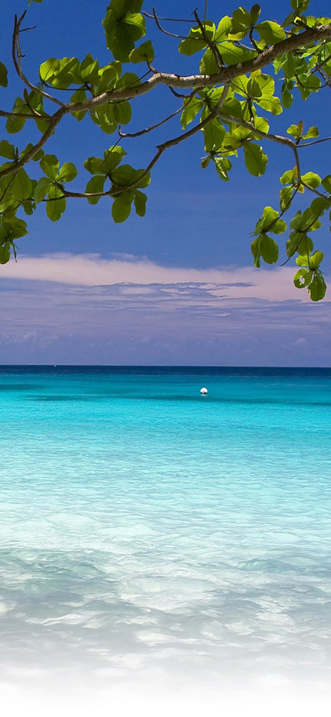 Fondo de Playa con Aguas Azules para iPhone XS Fondos de pantalla
