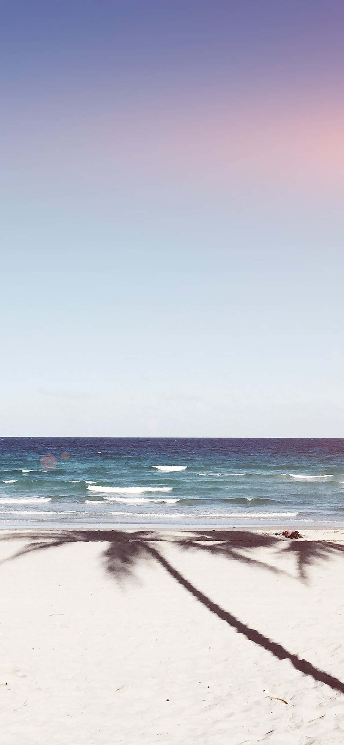 Fondo de Playa con Sombra de Palmera para iPhone XS Fondos de pantalla