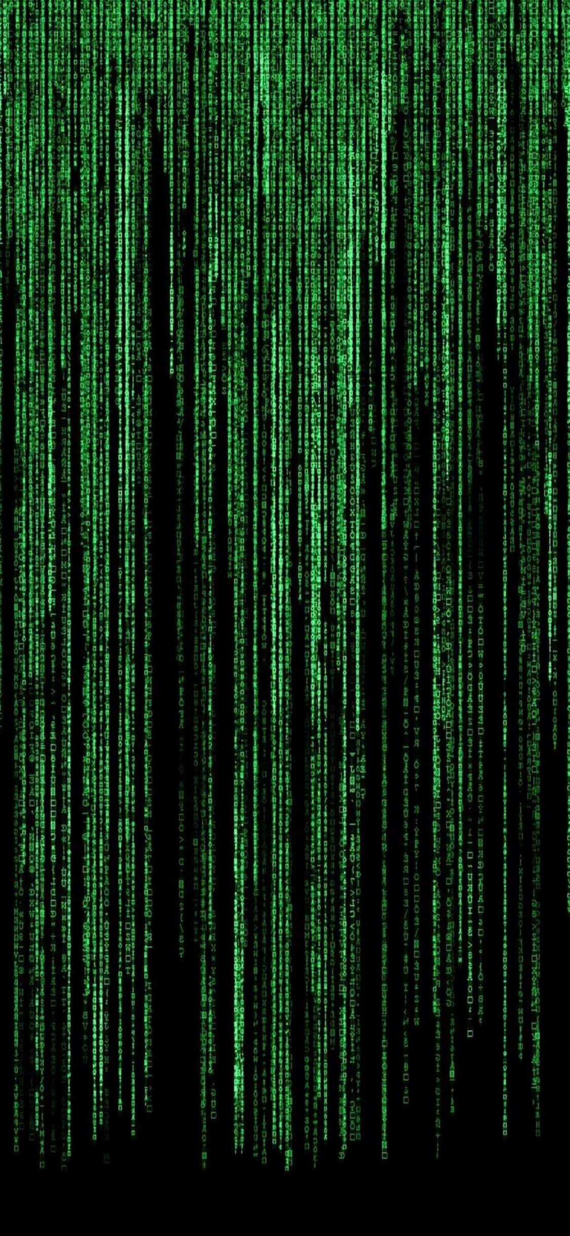 Fondo de Programación para iPhone XS - Matrix Verde Fondos de pantalla