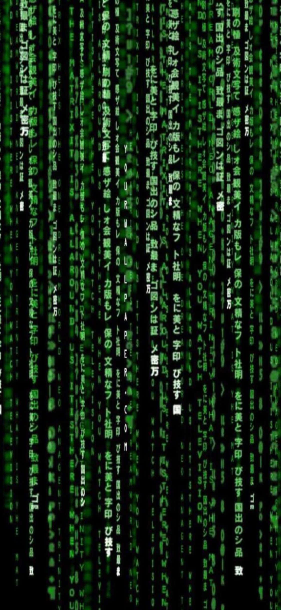 Fondo de Programación para iPhone Xs Matriz Vertical Fondos de pantalla