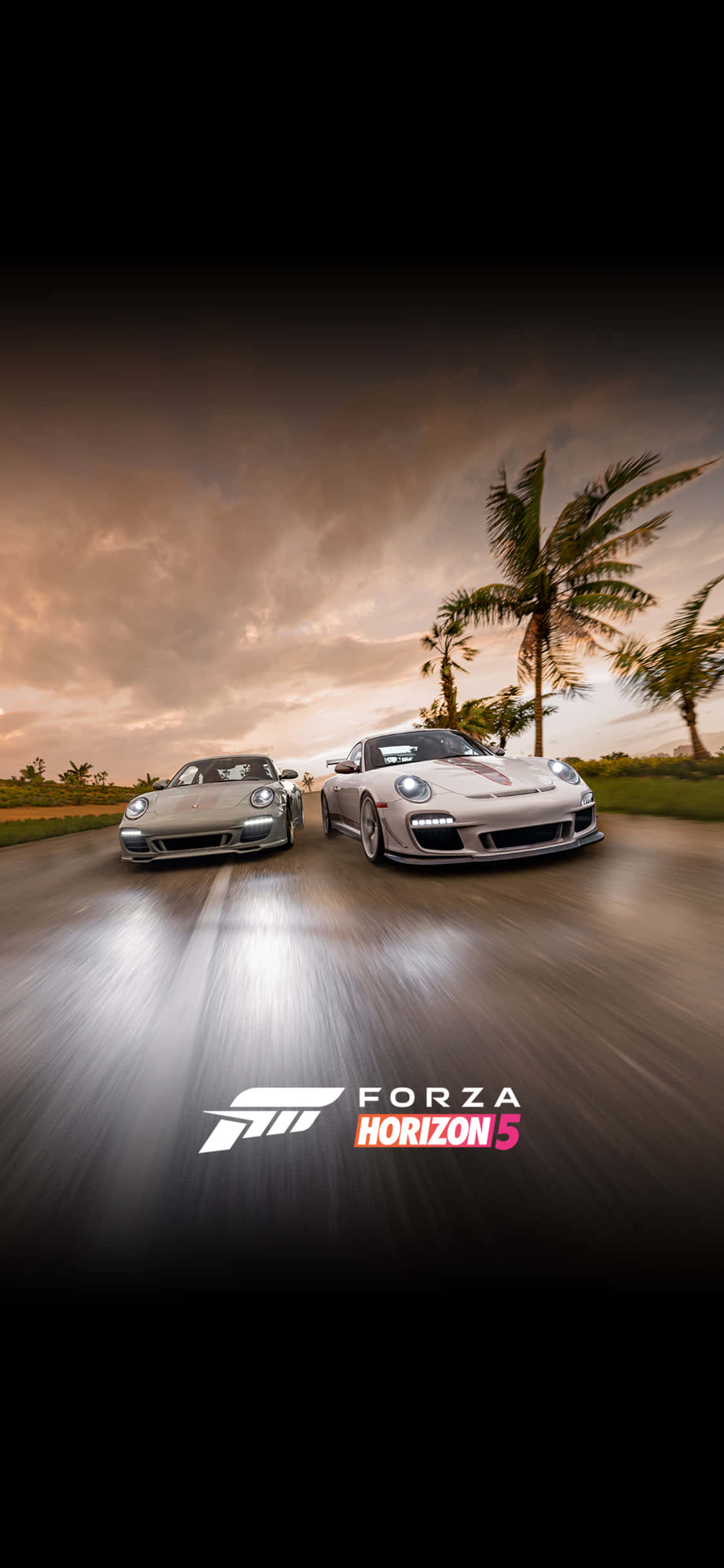 Fondo de Ravensburger Porsche para iPhone X Forza Motorsport 7 Fondos de pantalla