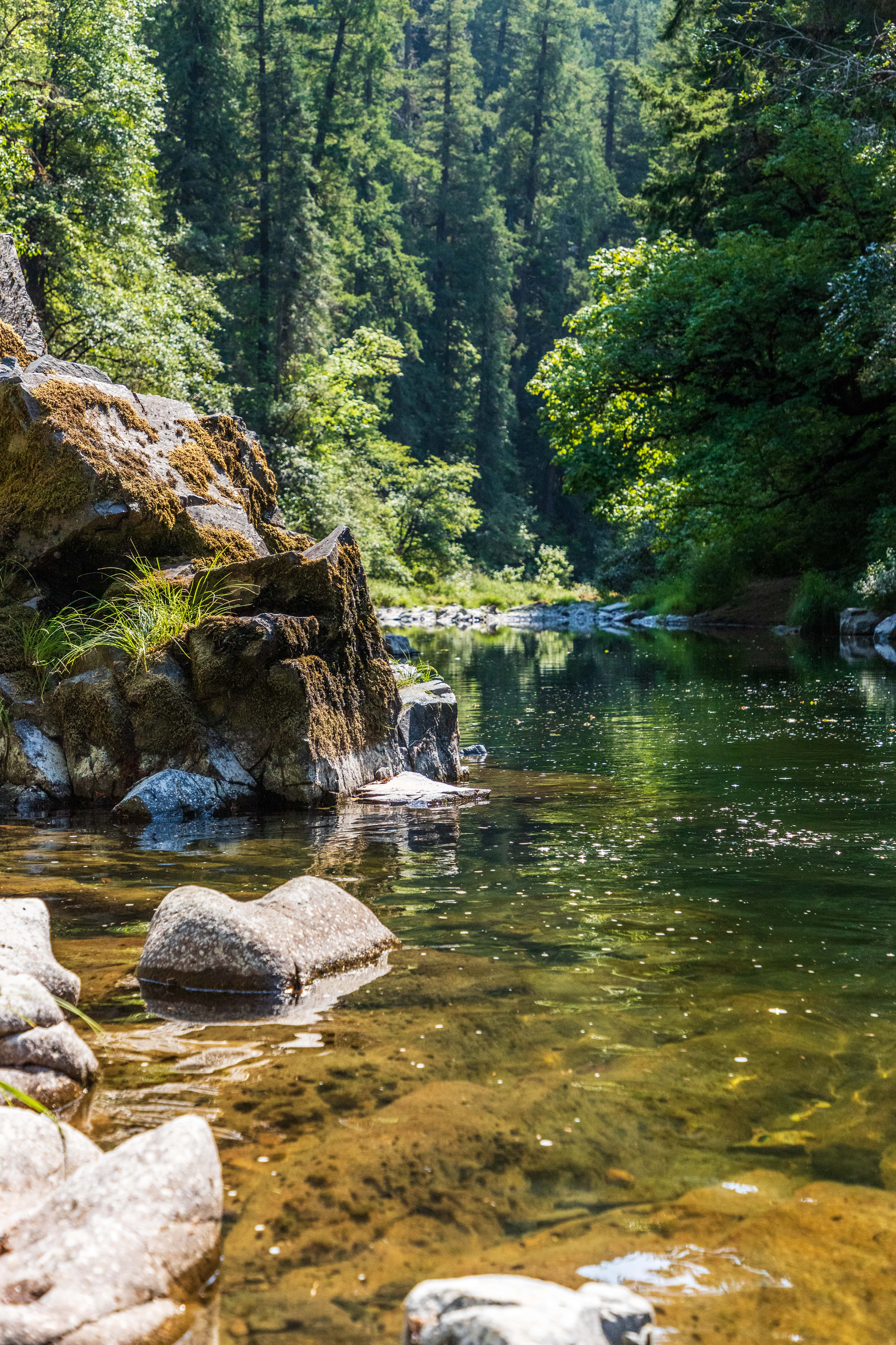 fondo de río Fondos de pantalla