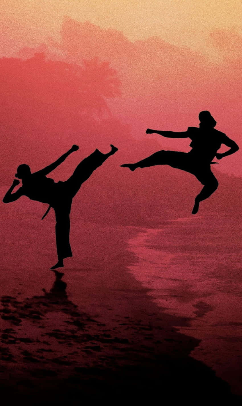 Fondo de Silueta de Pelea de Cobra Kai para iPhone Xr Fondos de pantalla