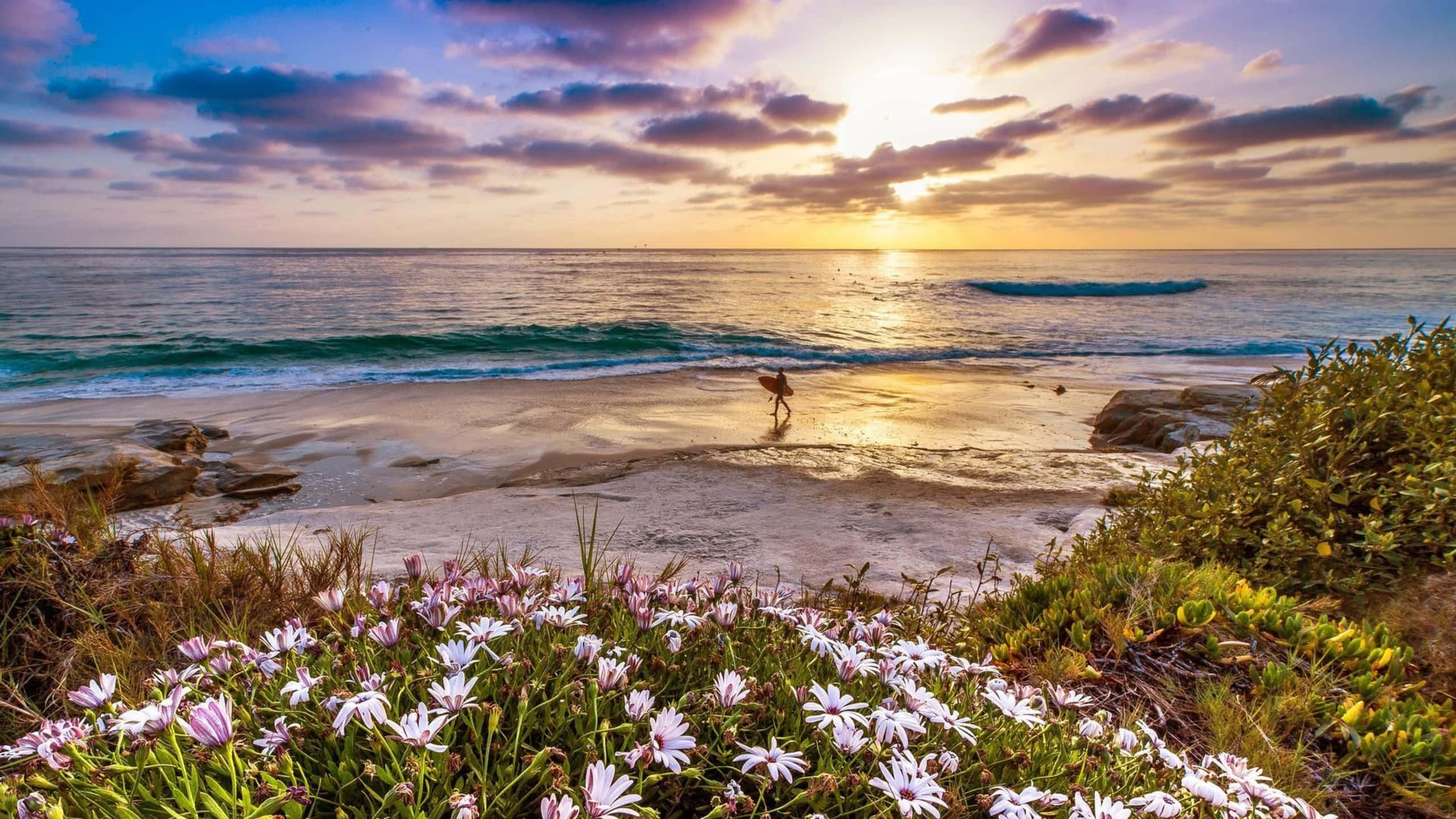 Fondo de surfista en Malibú con flores en 1440p Fondos de pantalla