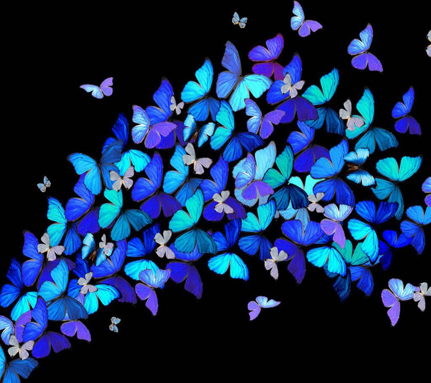 Fondo de teléfono genial con mariposas Fondos de pantalla