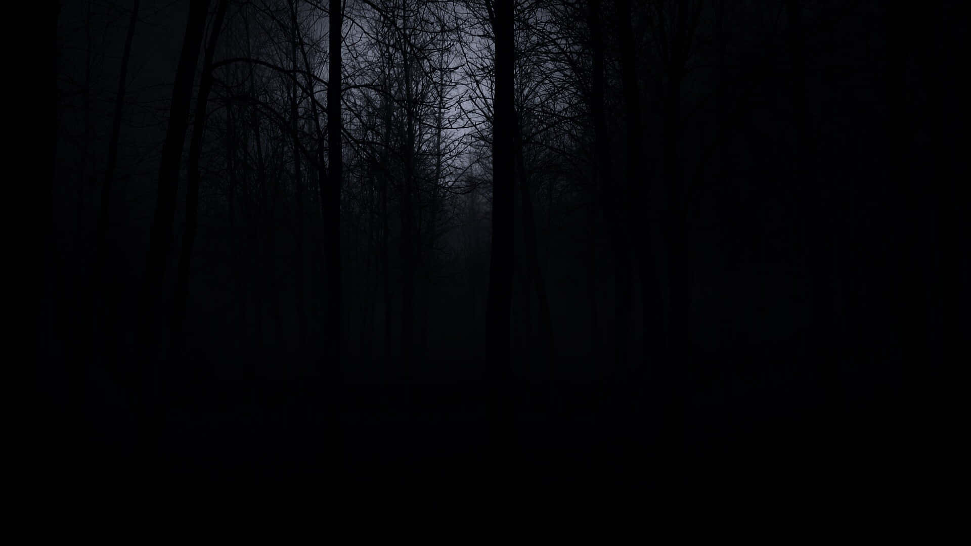 Fondo de tema oscuro Fondos de pantalla