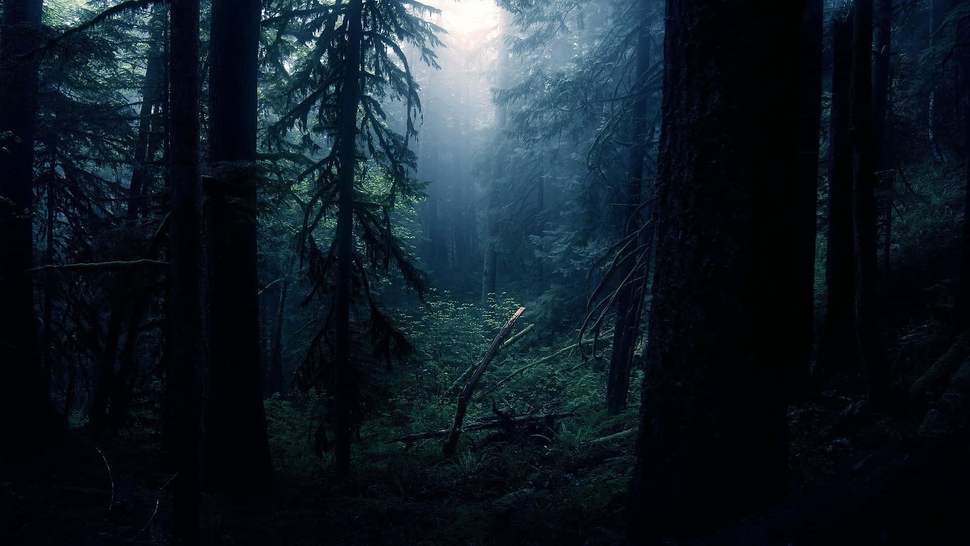 Fondo de tema oscuro Fondos de pantalla