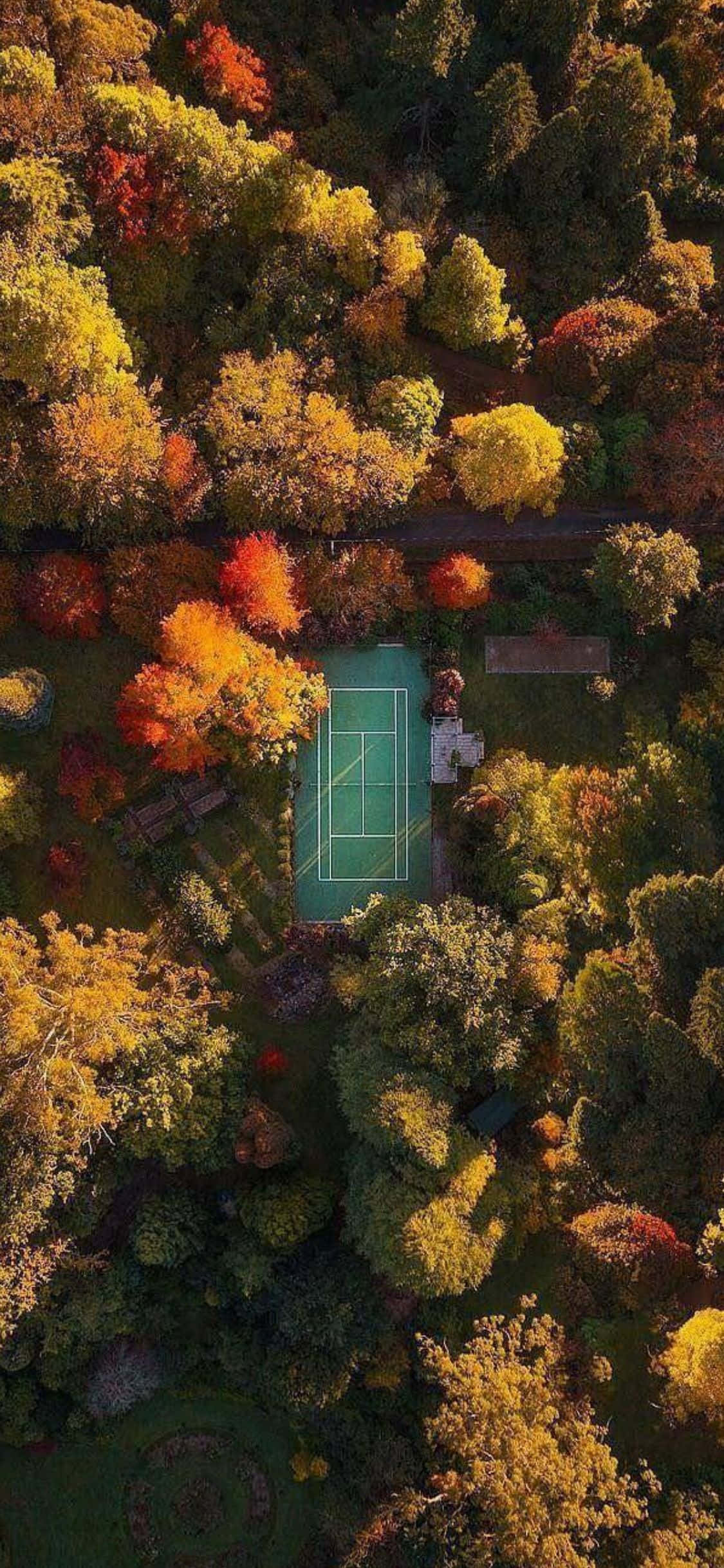Fondo de Tenis para iPhone Xs Fondos de pantalla