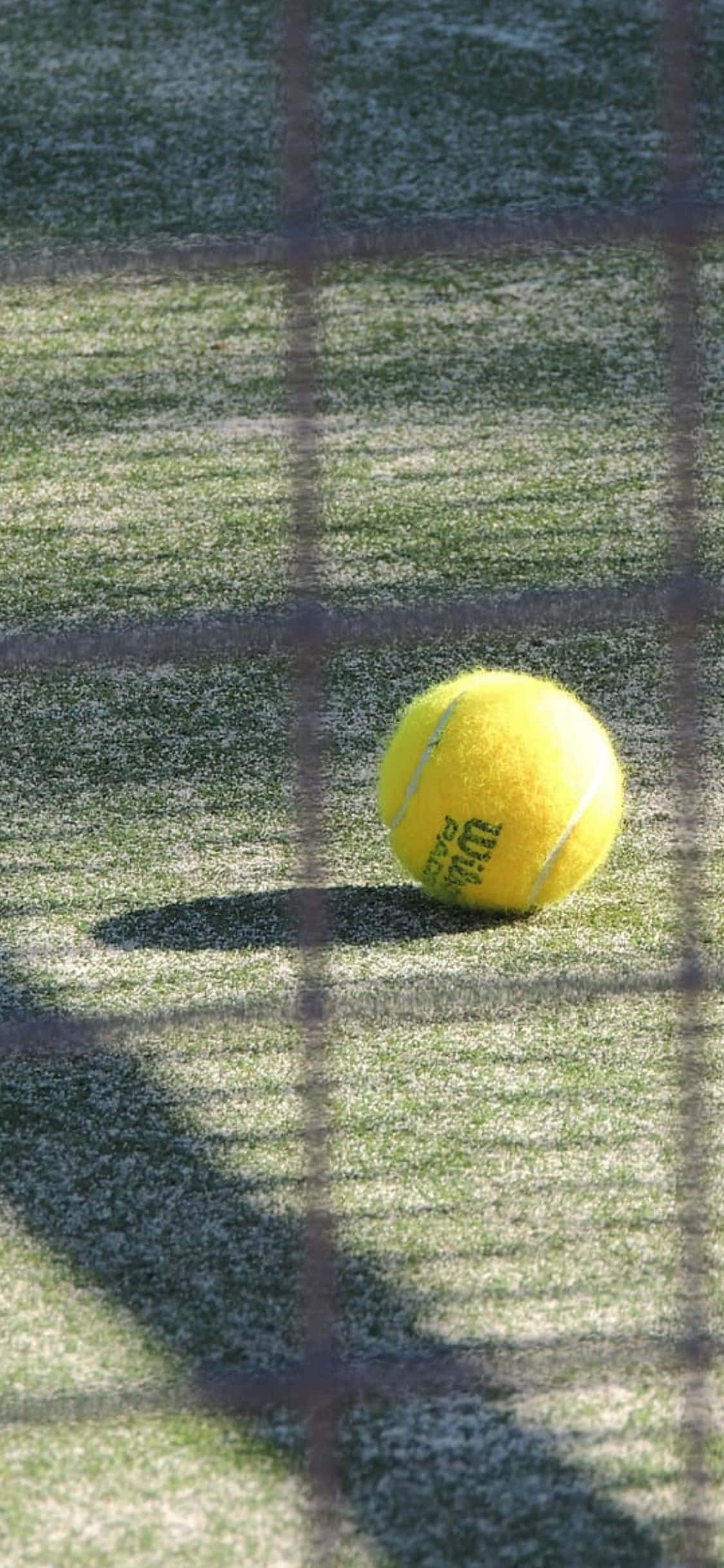 Fondo de Tenis para iPhone Xs Fondos de pantalla
